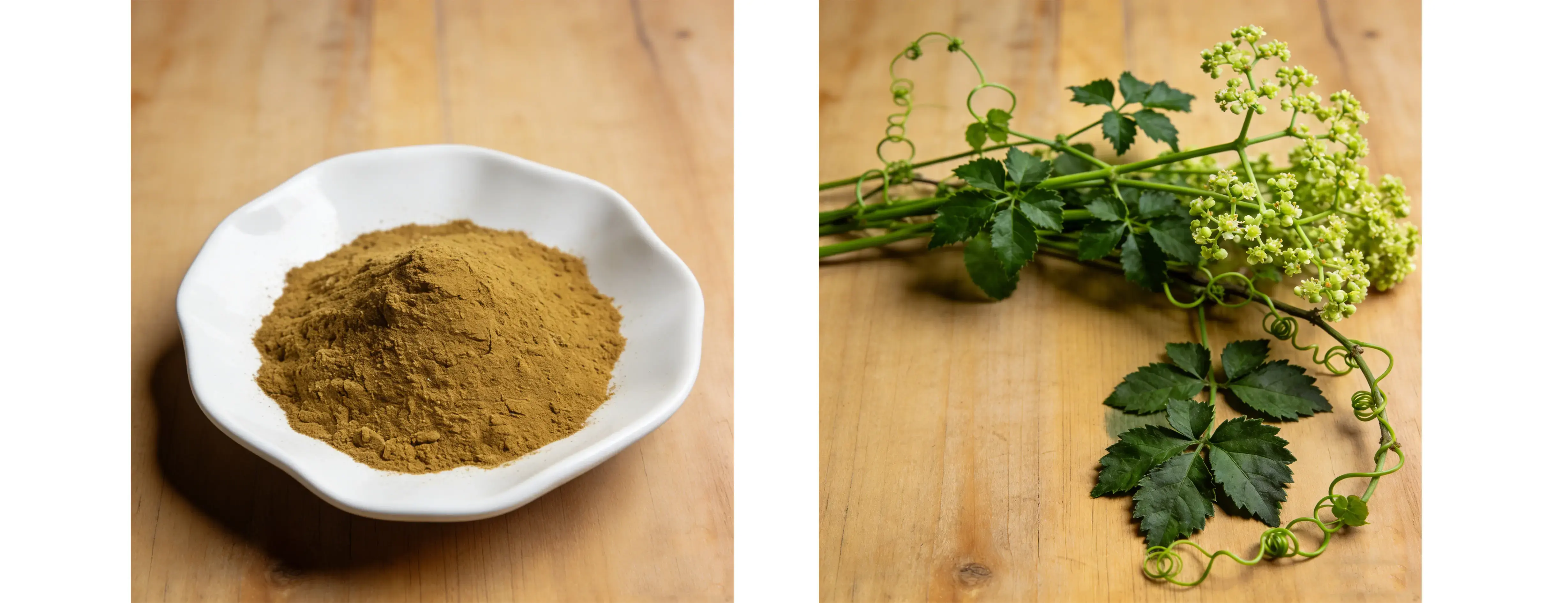 Gynostemma Pentaphyllum Extract Gynostemma Pentaphyllum Extract