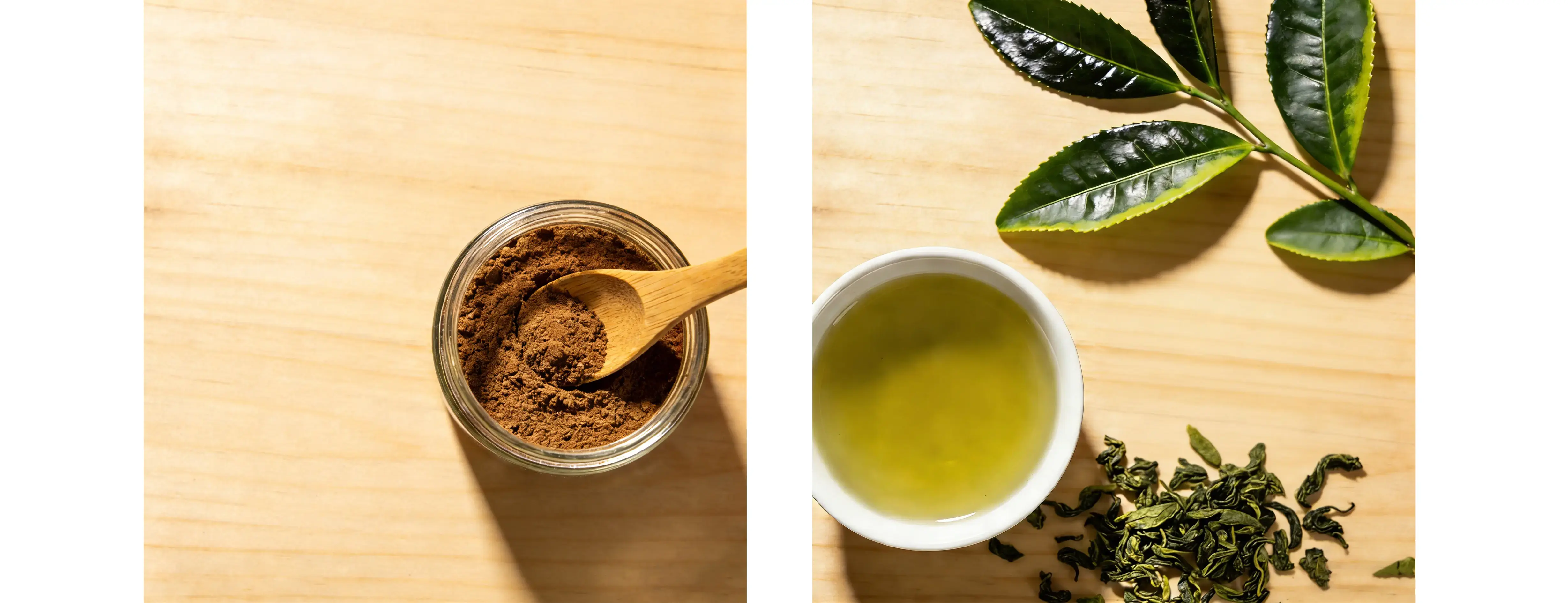 Green Tea Extract 98% Polyphenols Green Tea Extract 98% Polyphenols