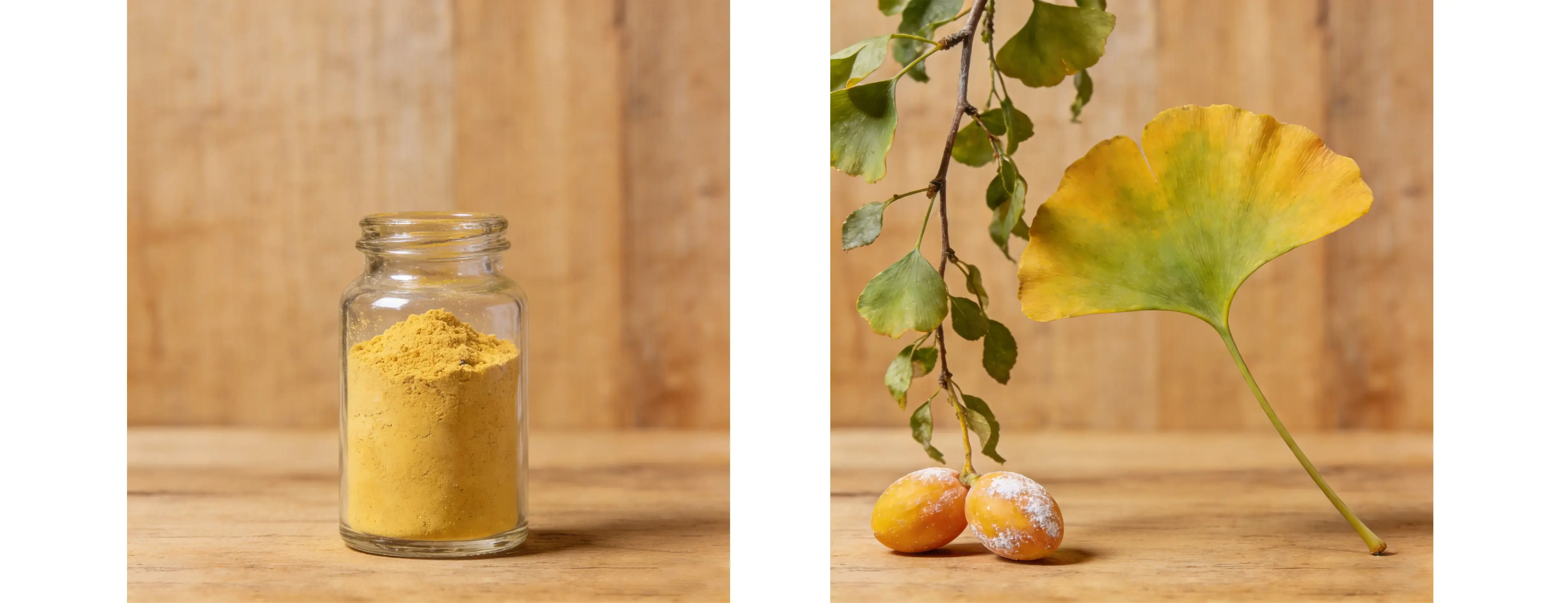 Ginkgo Biloba Extract