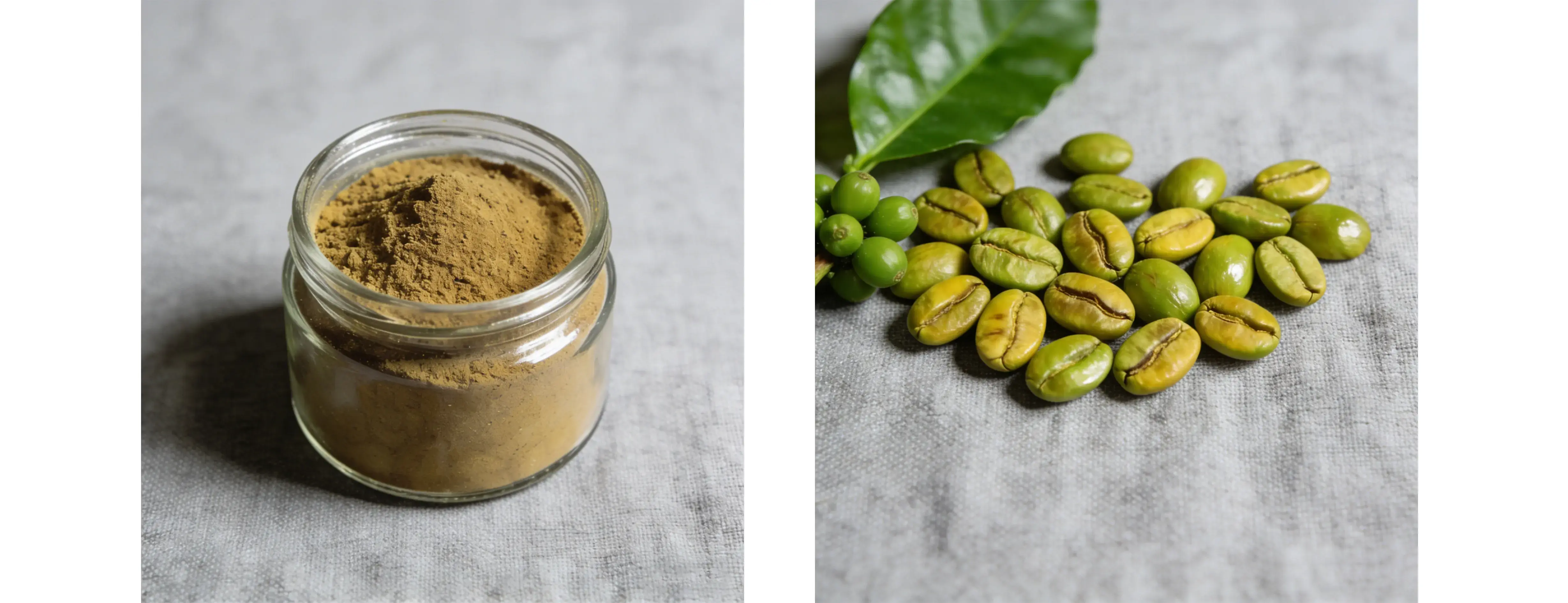 Green Coffee Bean Extract Green Coffee Bean Extract