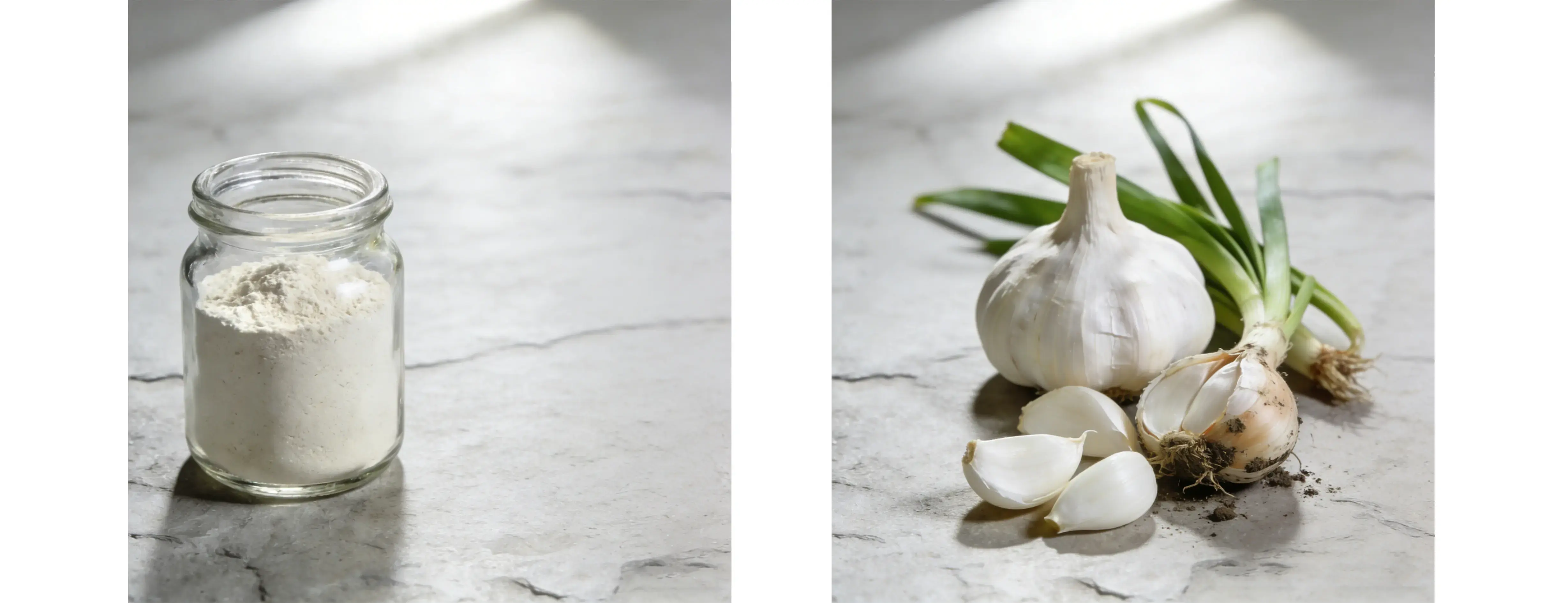 Garlic Extract Garlic Extract