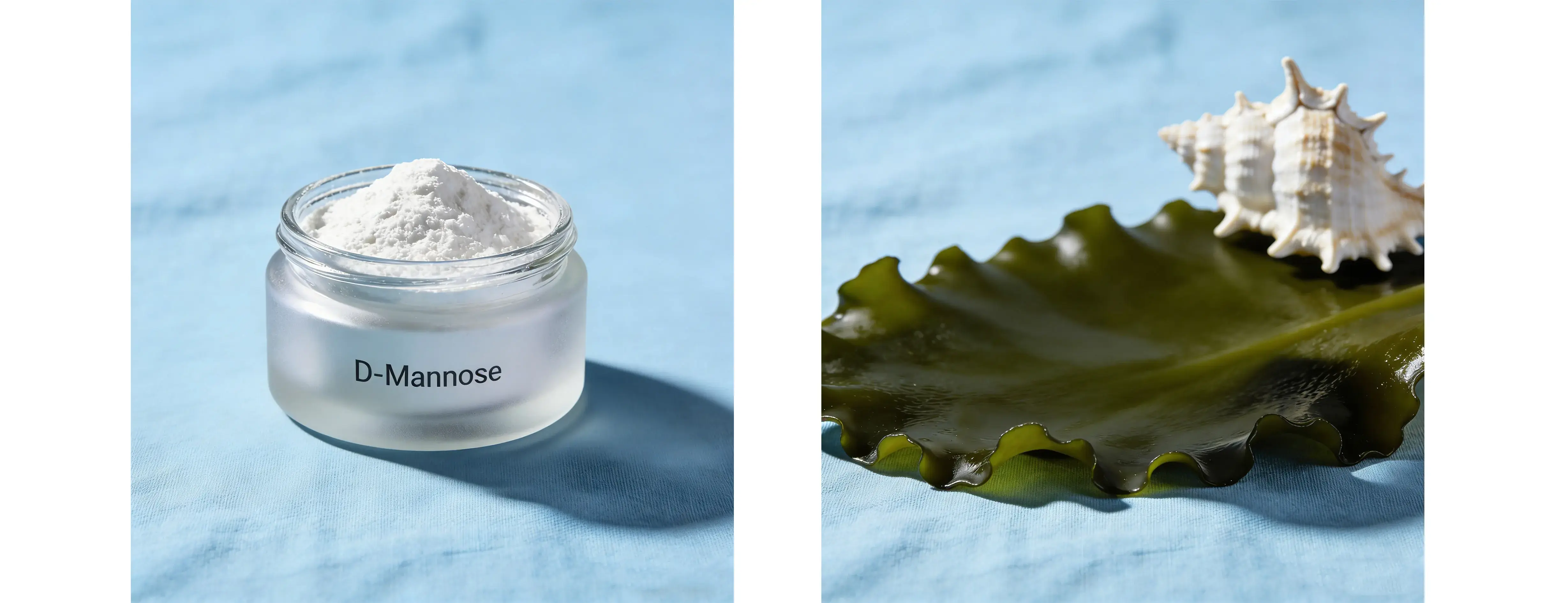 D-Mannose D-Mannose