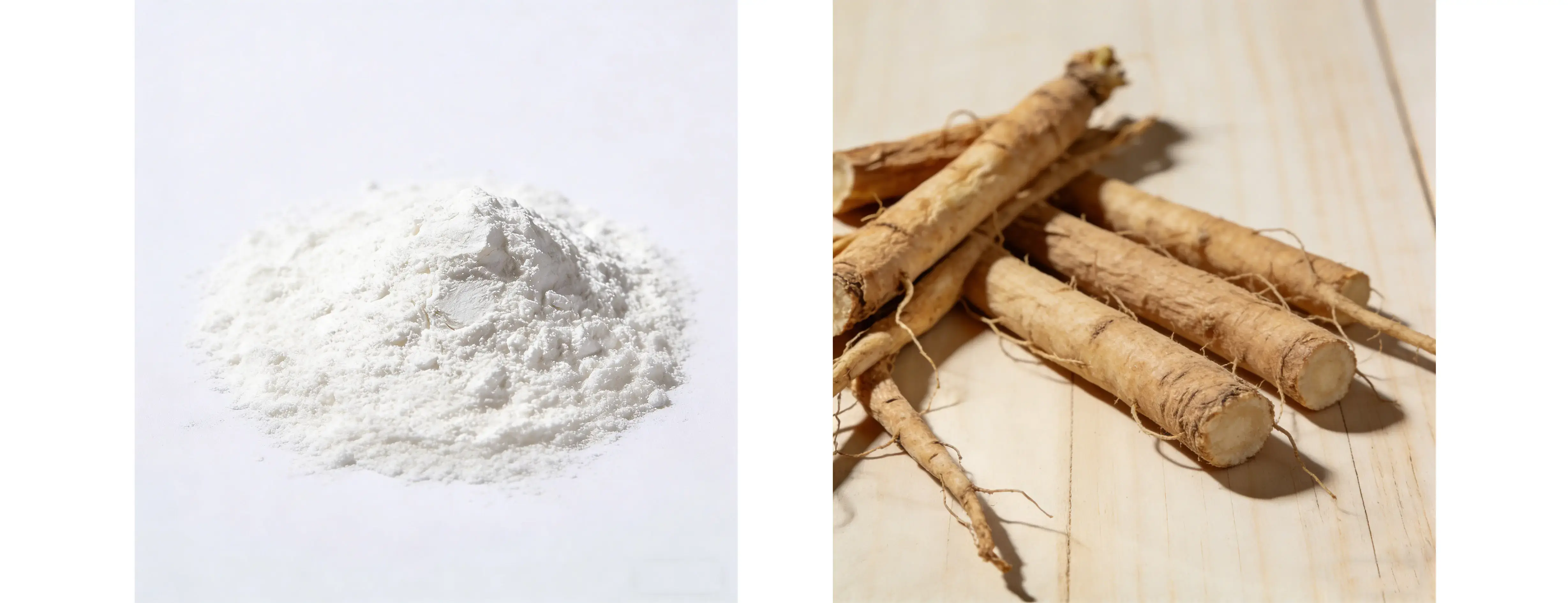 Chicory Root Extract 