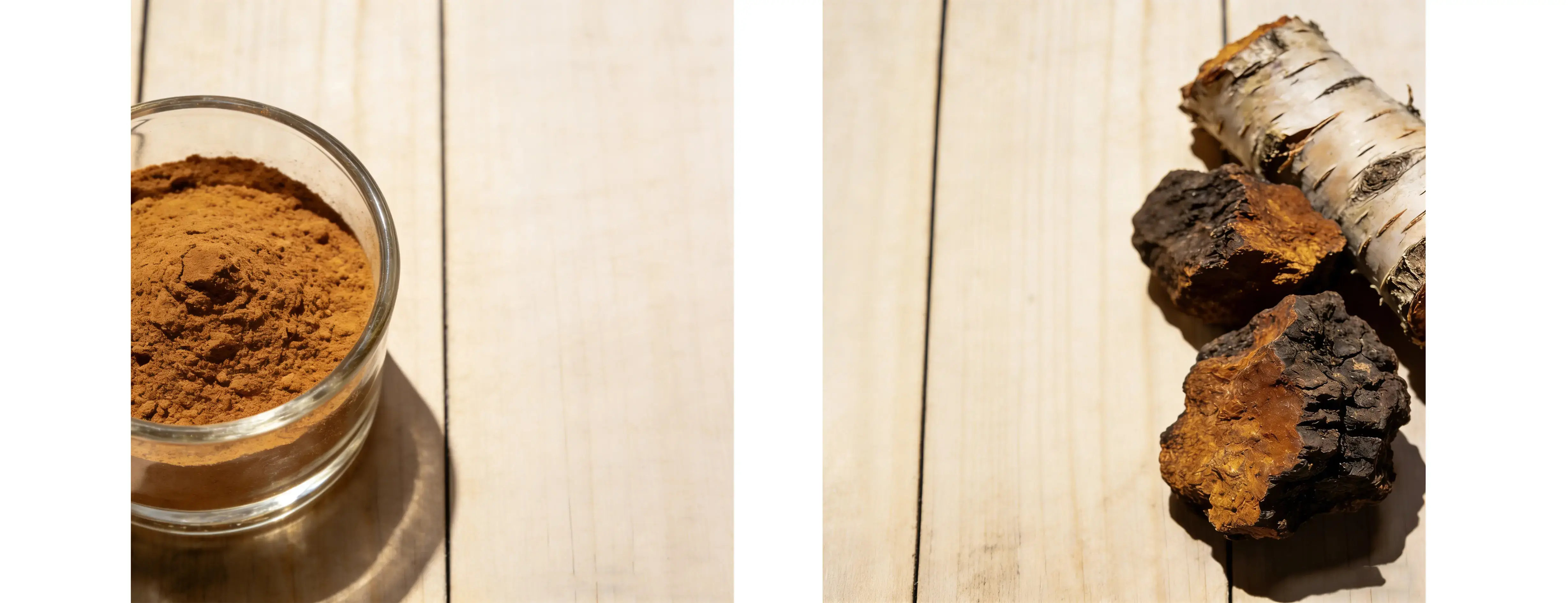 Chaga Mushroom Extract