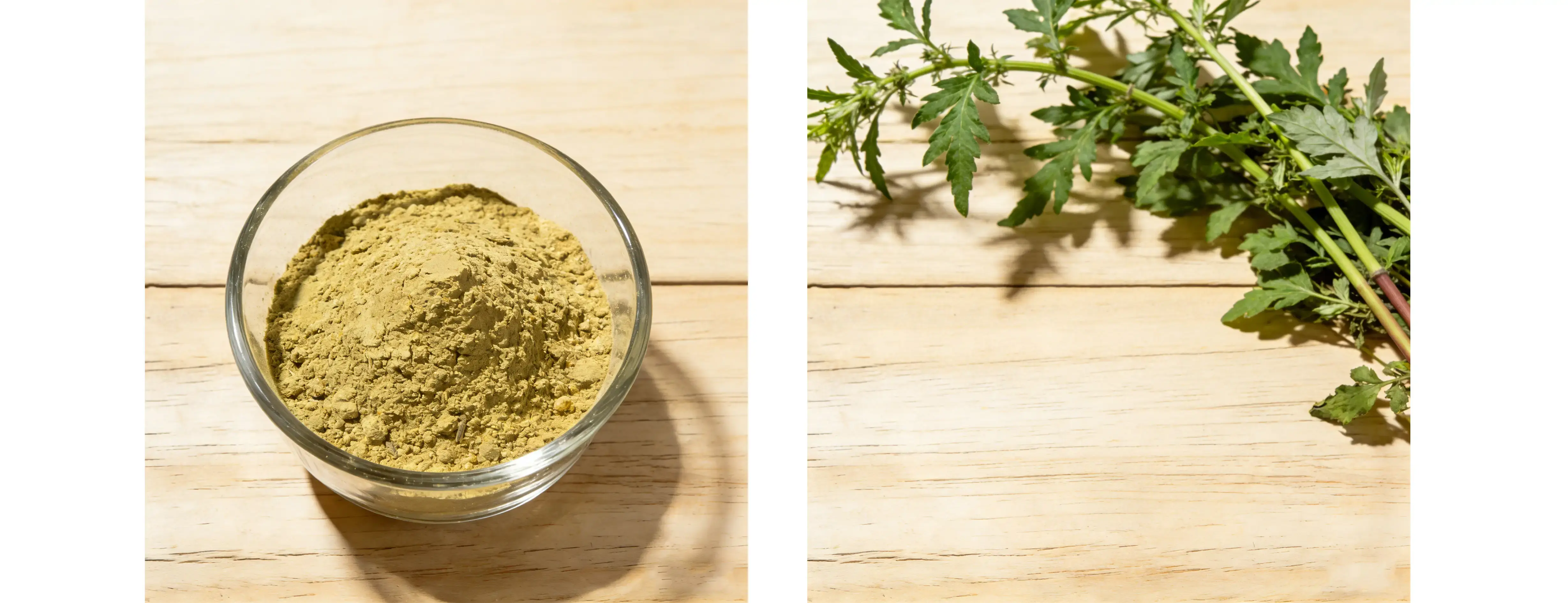 Sweet Wormwood Extract