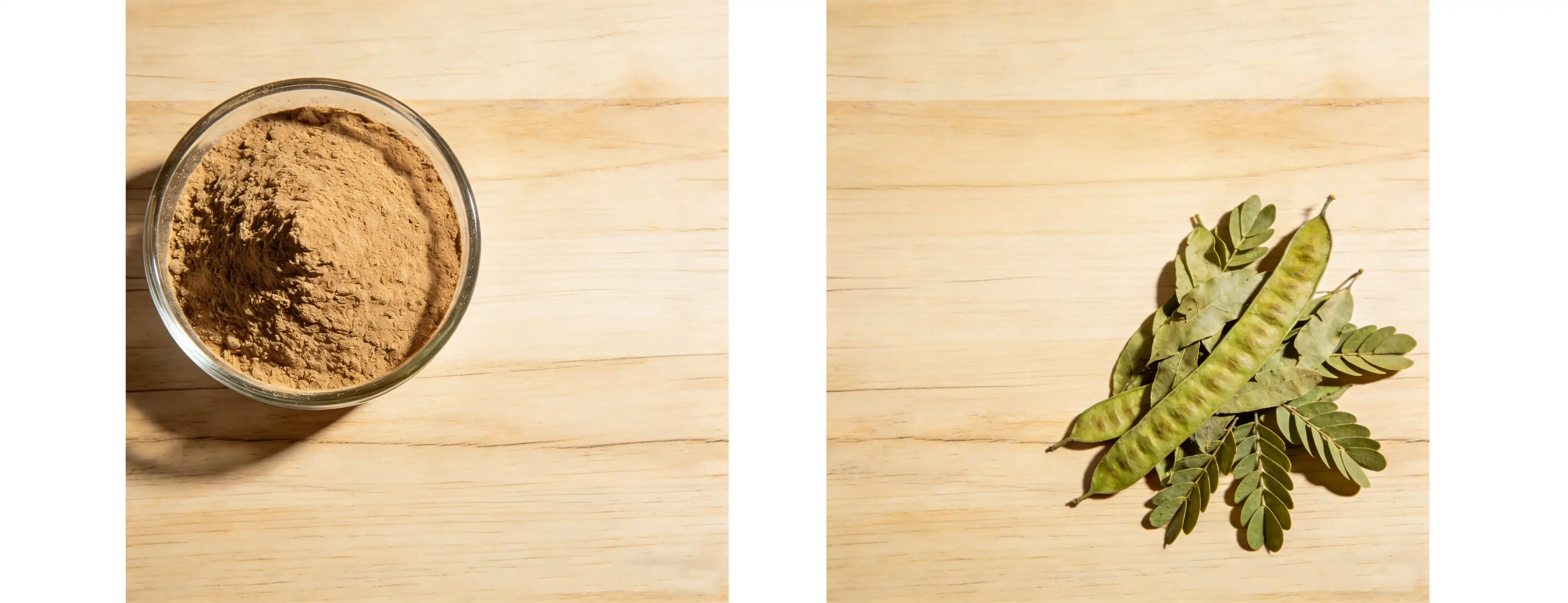 Senna Leaf Extract Senna Leaf Extract