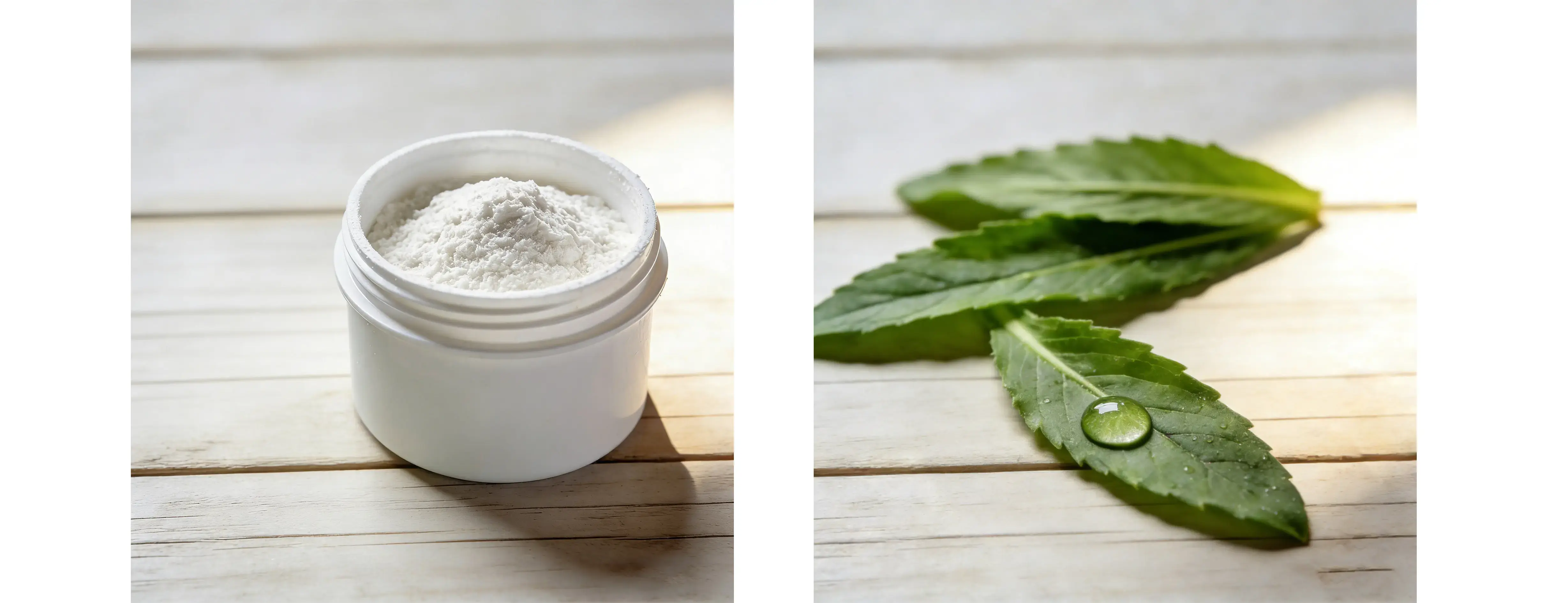 Stevia Leaf Extract Stevia Leaf Extract