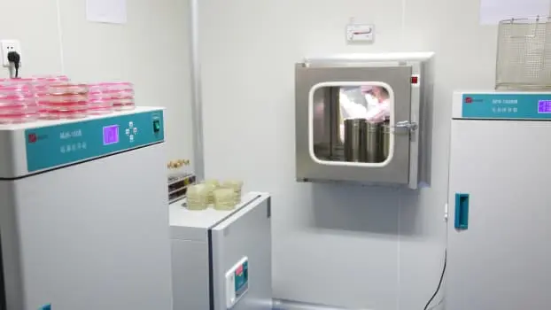 Research & Development