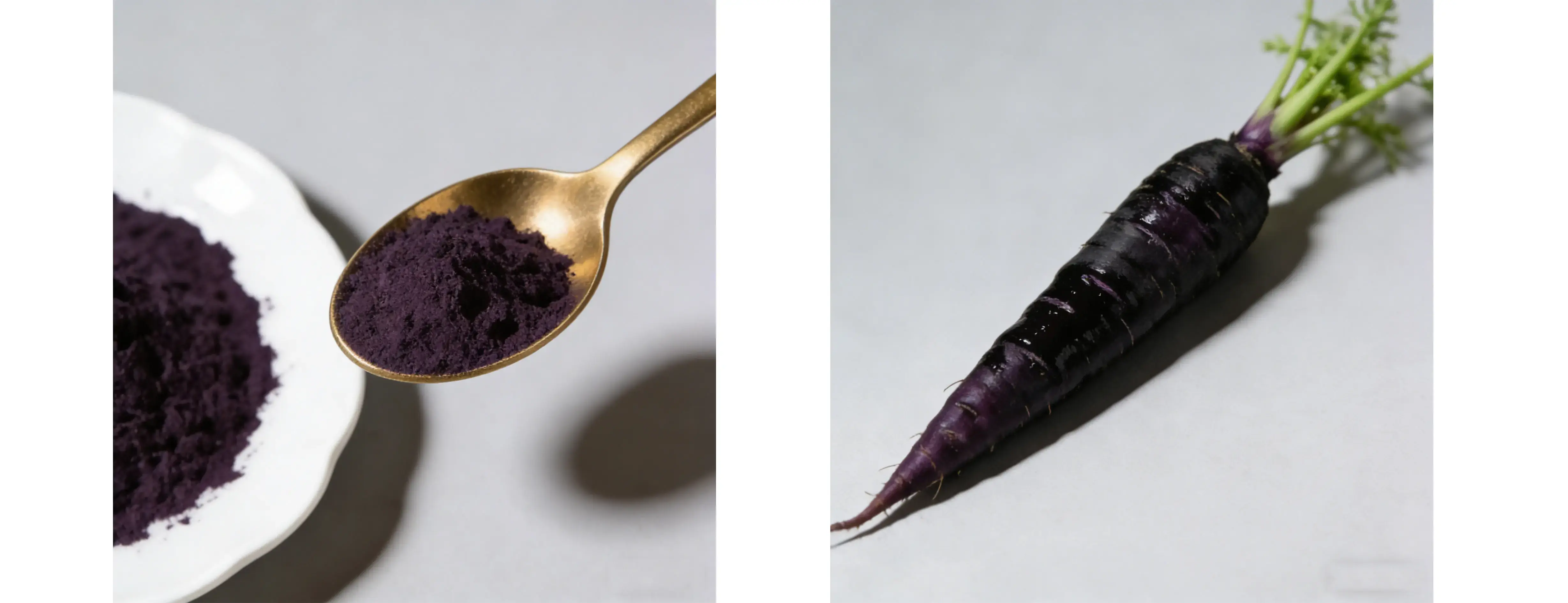 Black Carrot Extract Black Carrot Extract