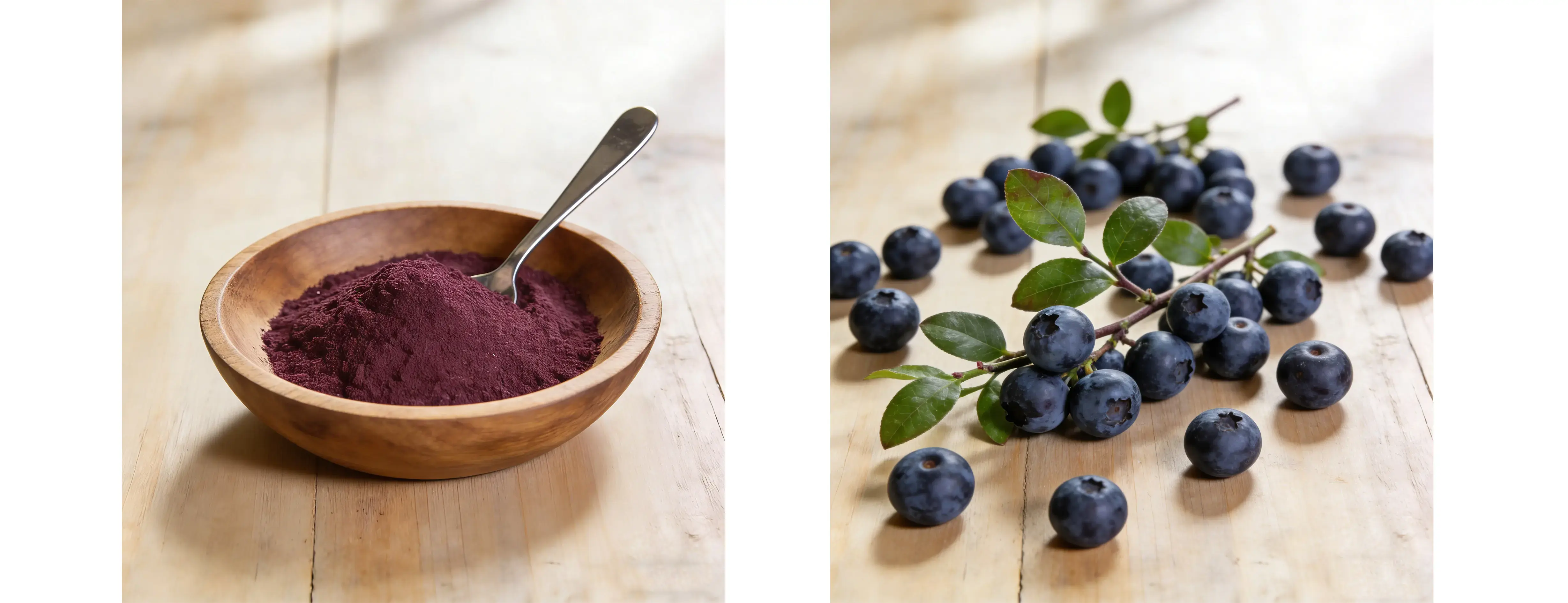 Bilberry Extract Bilberry Extract