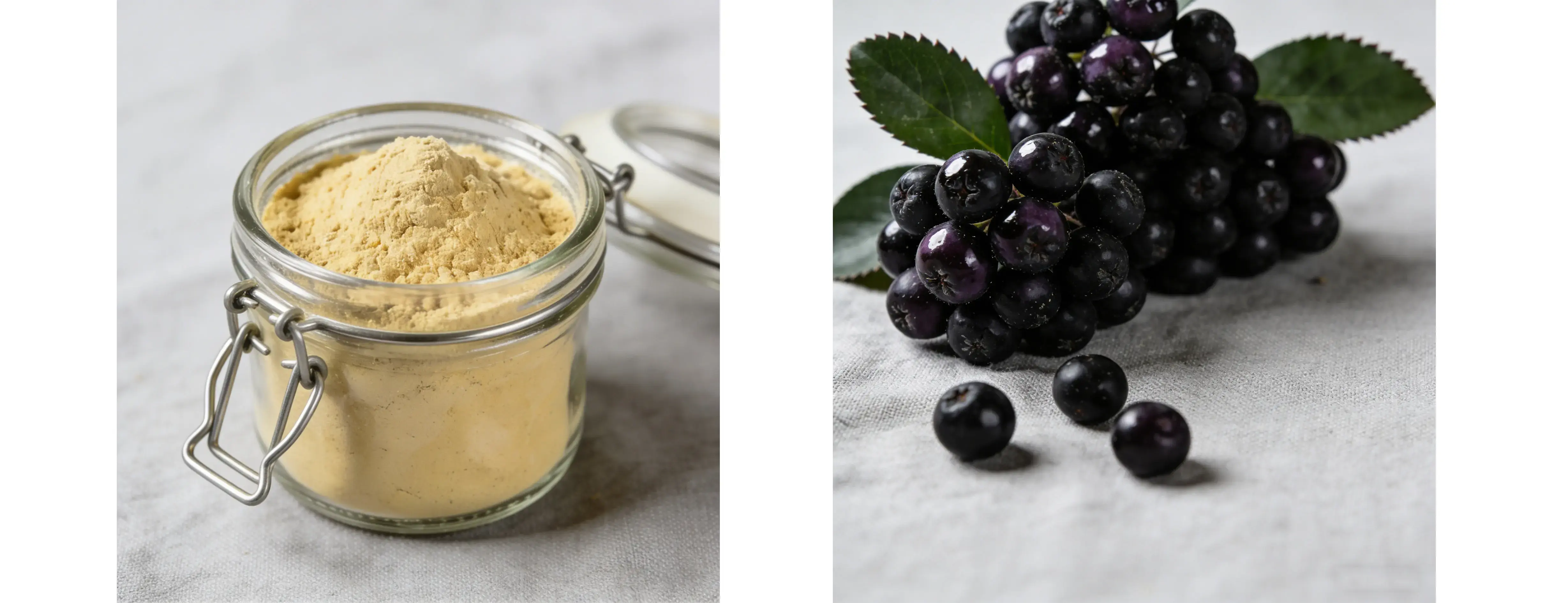 Aronia Melanocarpa Extract Aronia Melanocarpa Extract