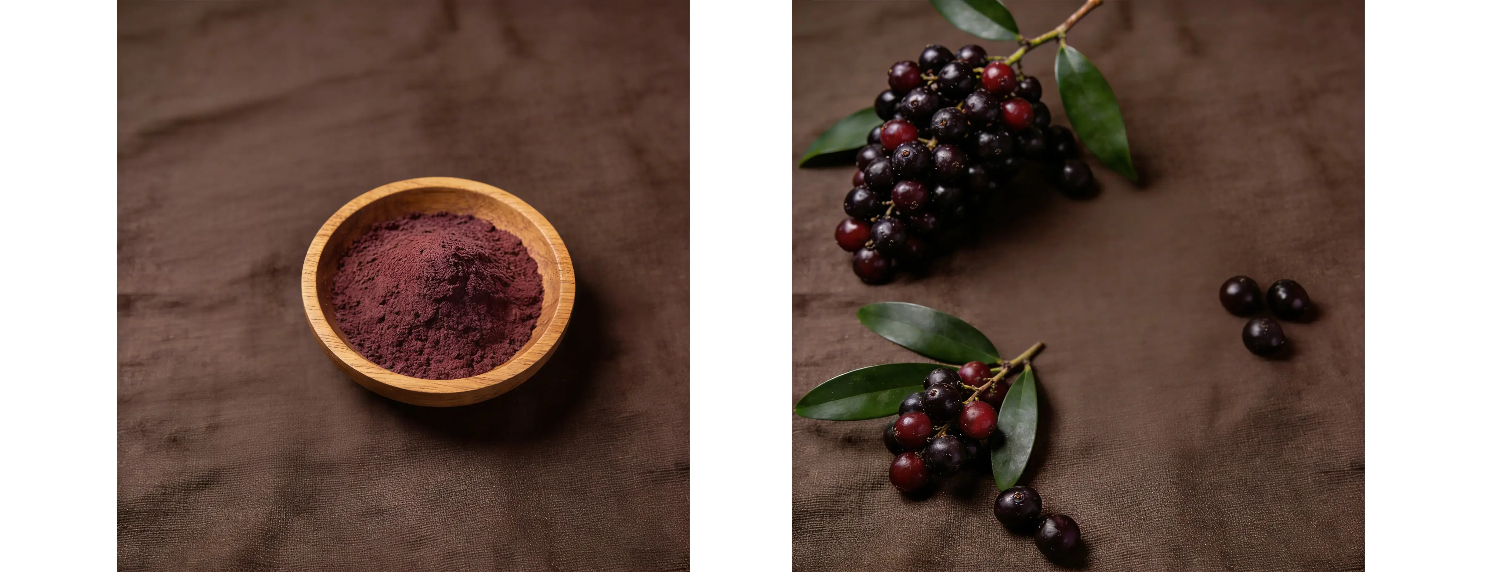 Acai Berry Extract Acai Berry Extract