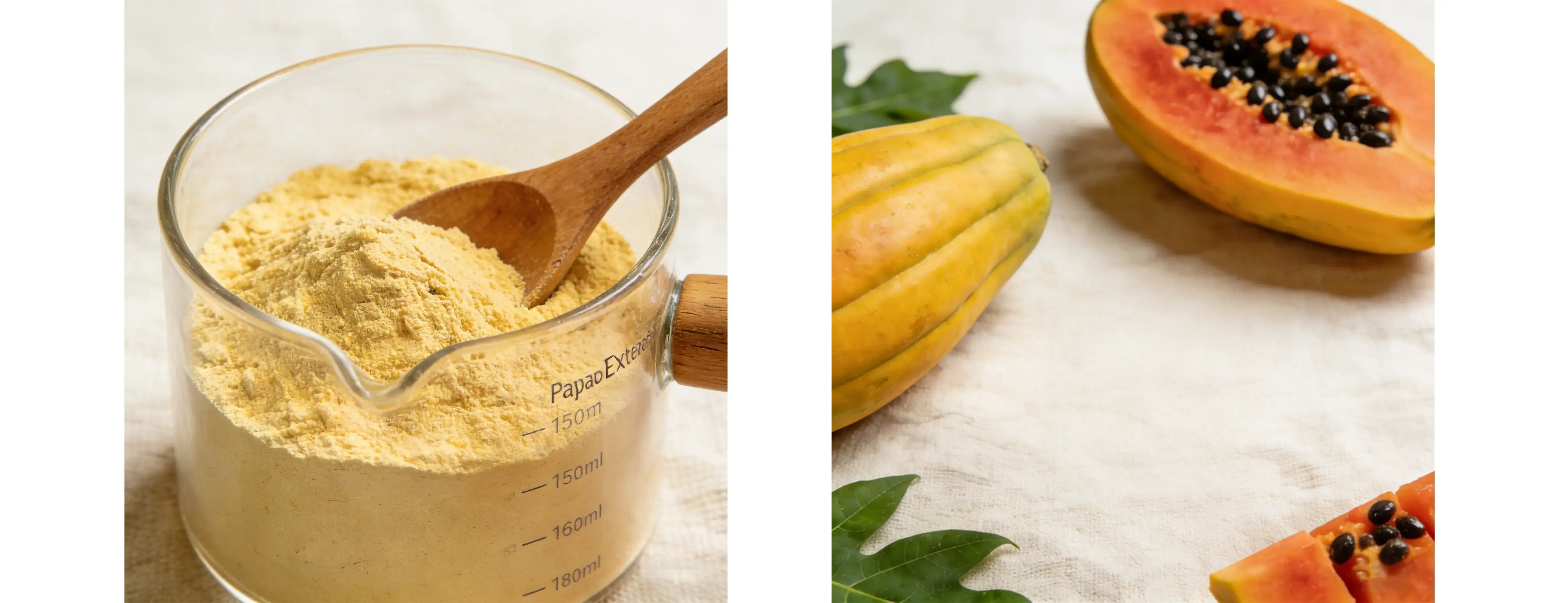 Papaya Extract Papaya Extract