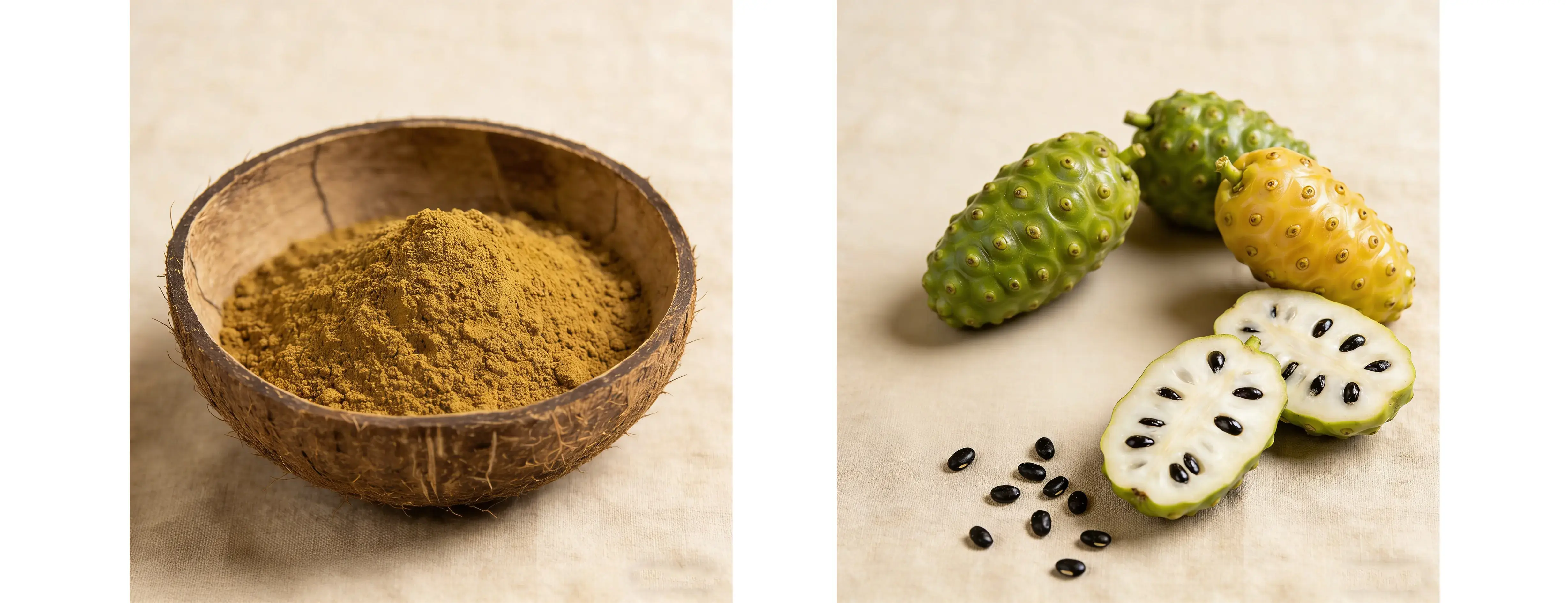 Noni Extract Noni Extract