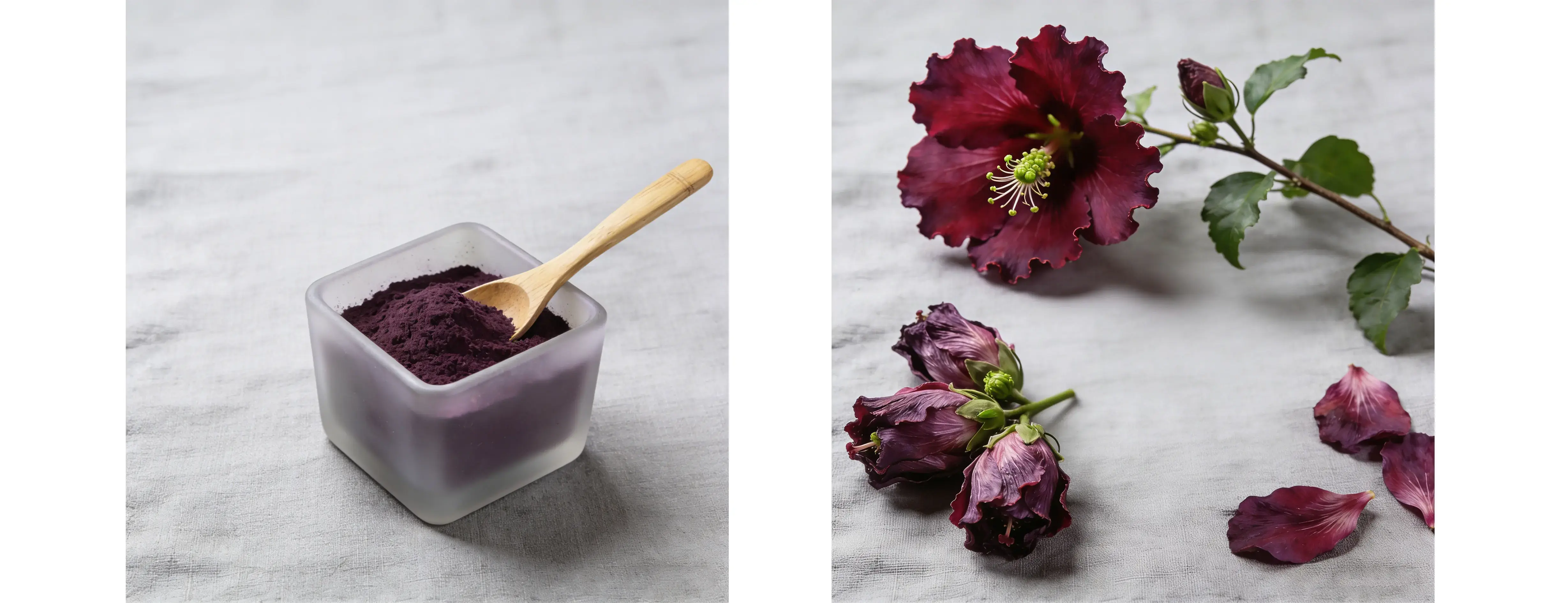 Hibiscus Extract Hibiscus Extract