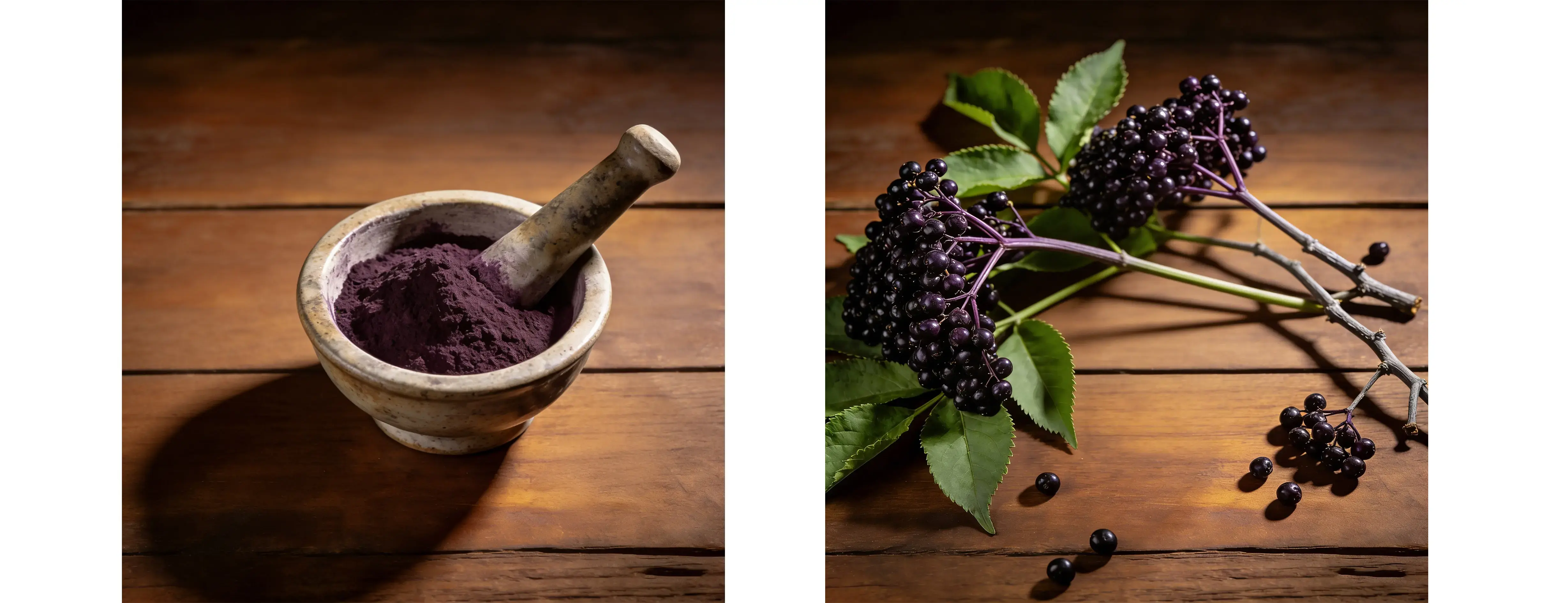 Elderberry Extract Elderberry Extract