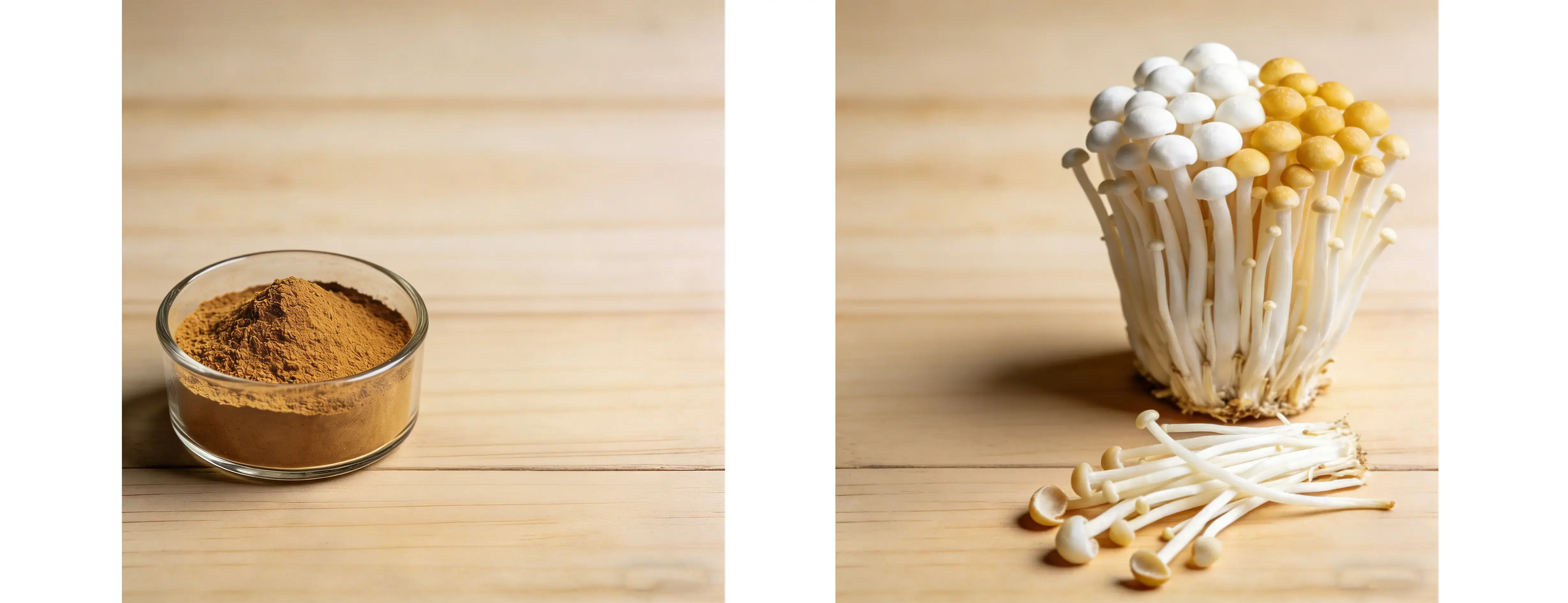 Enoki Mushroom Extract