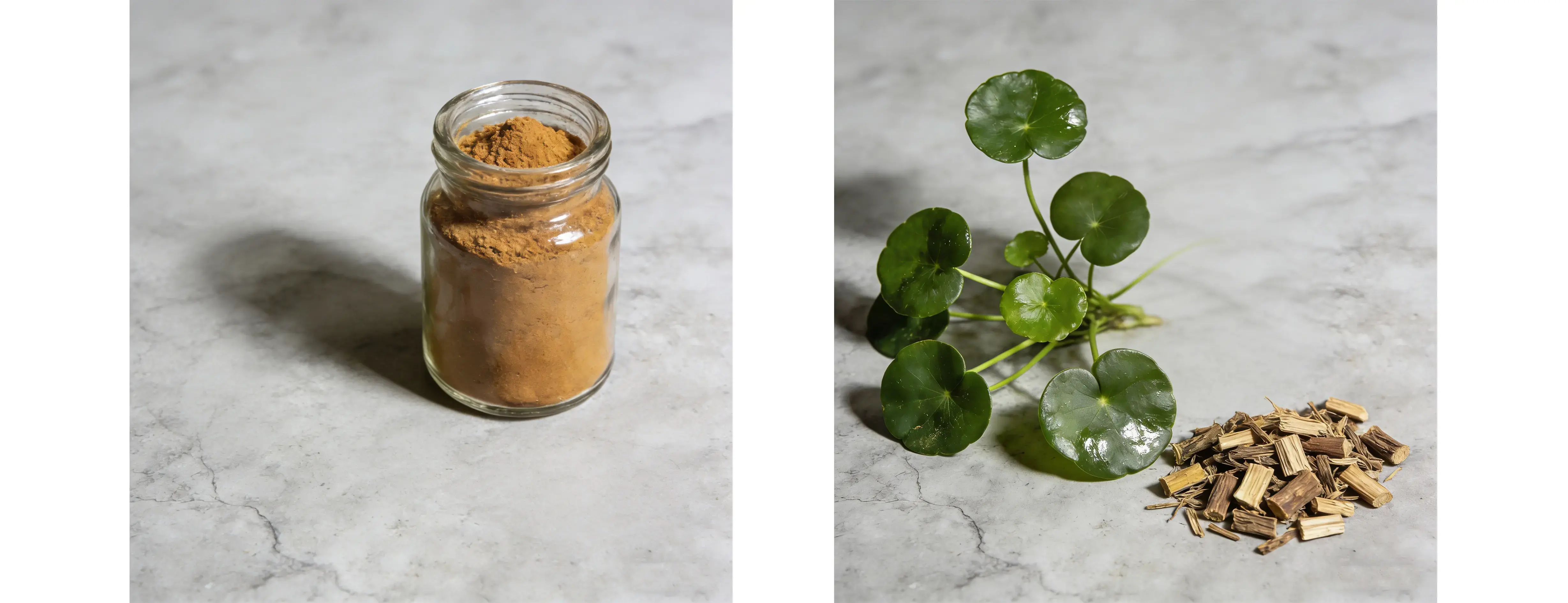 Desmodium Extract Desmodium Extract