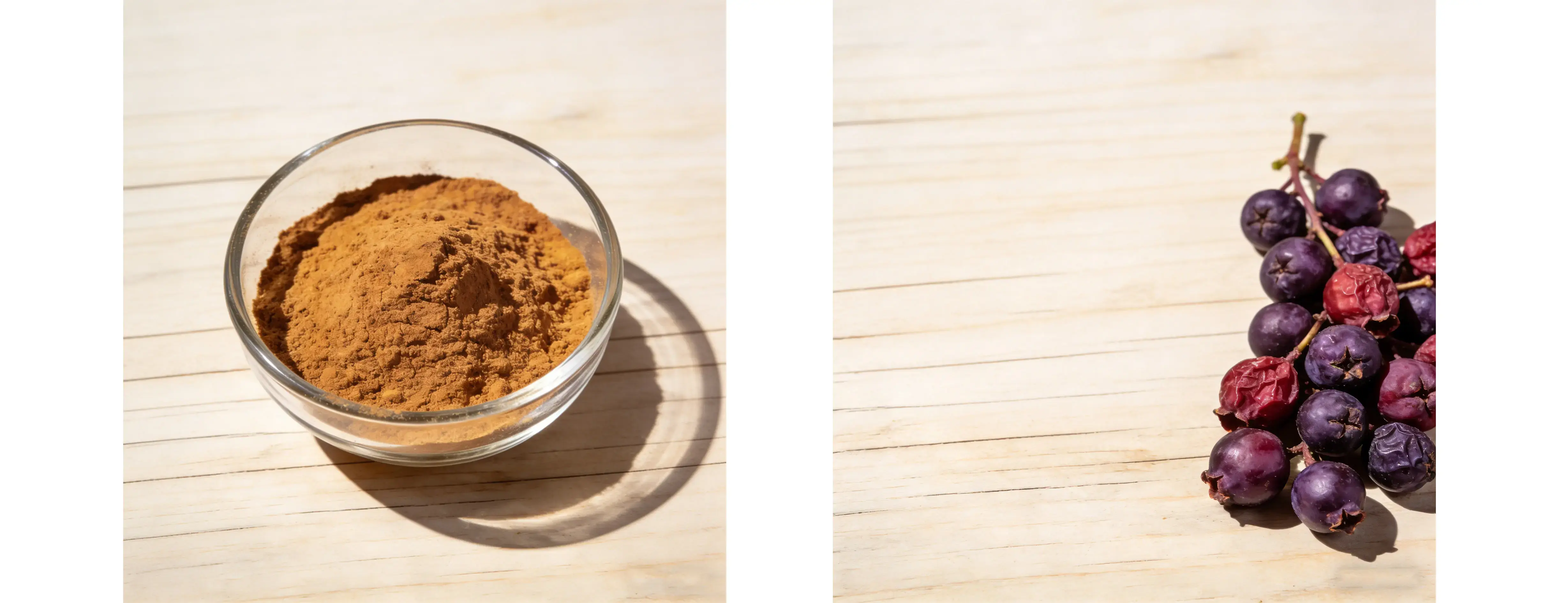 Chaste Berry Extract