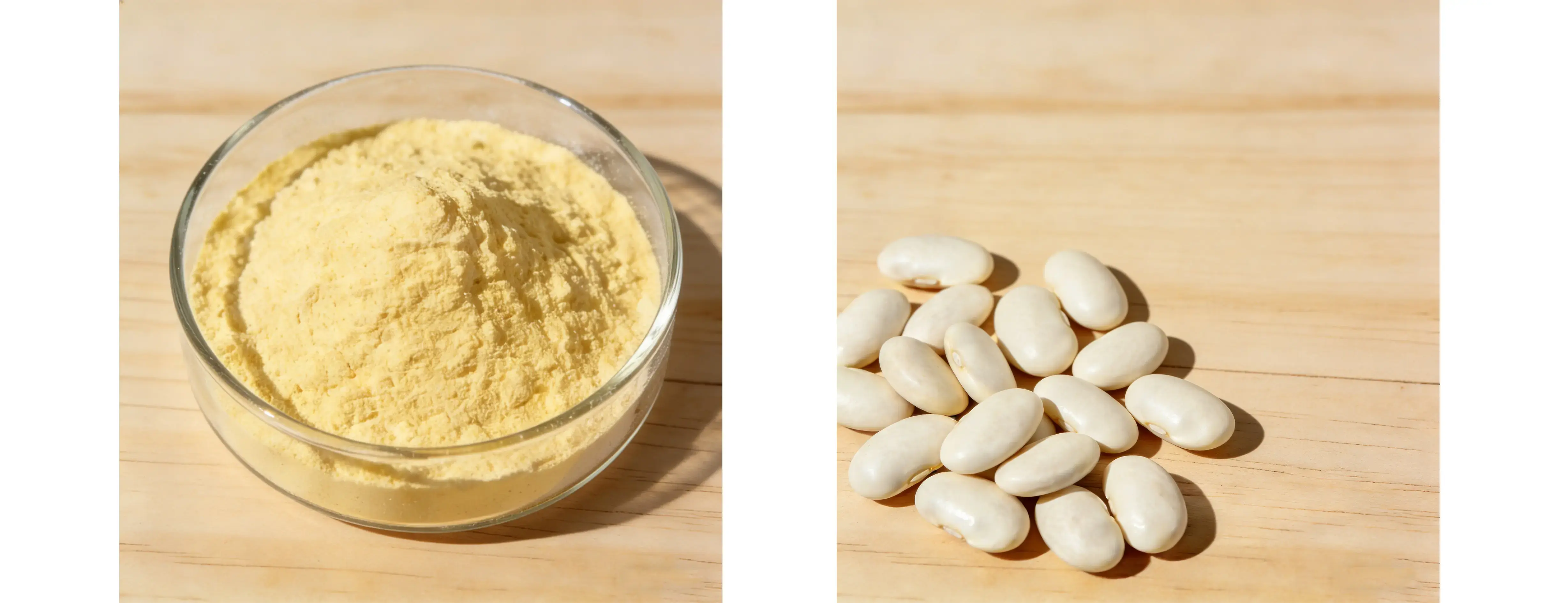 White Kidney Bean Extract 