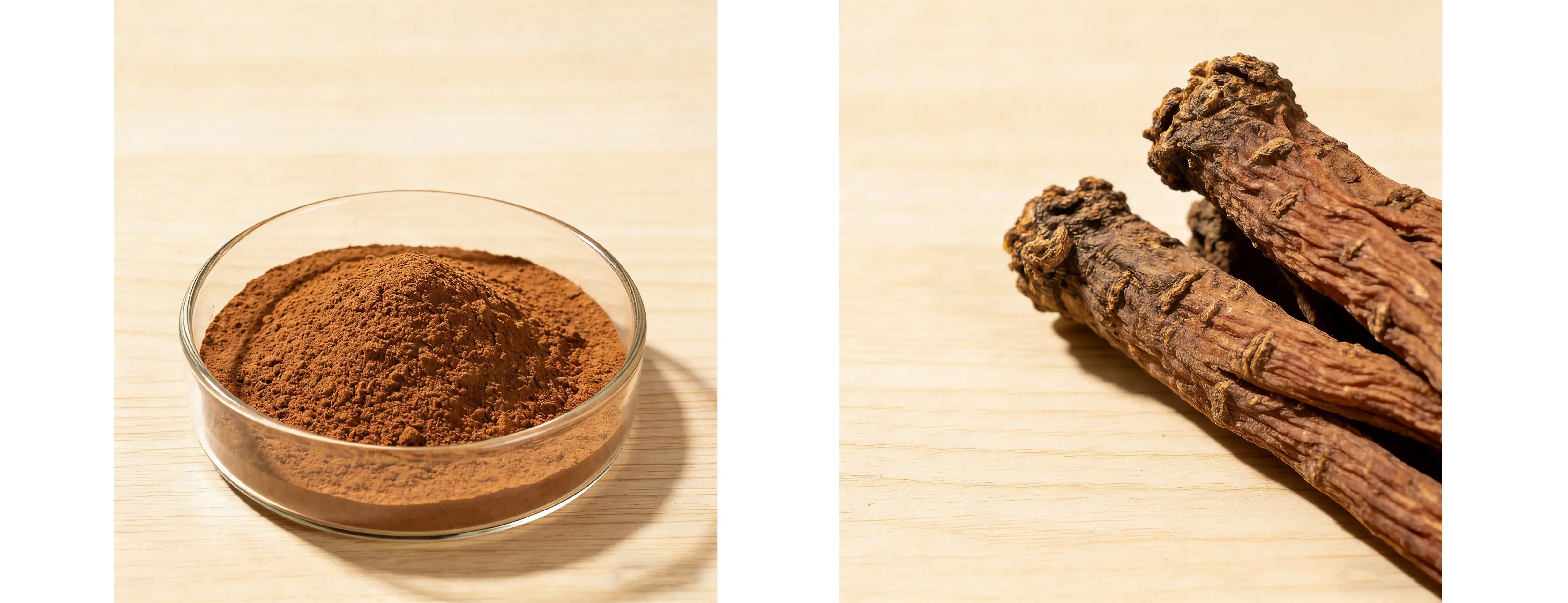 Dan Shen Root Extract