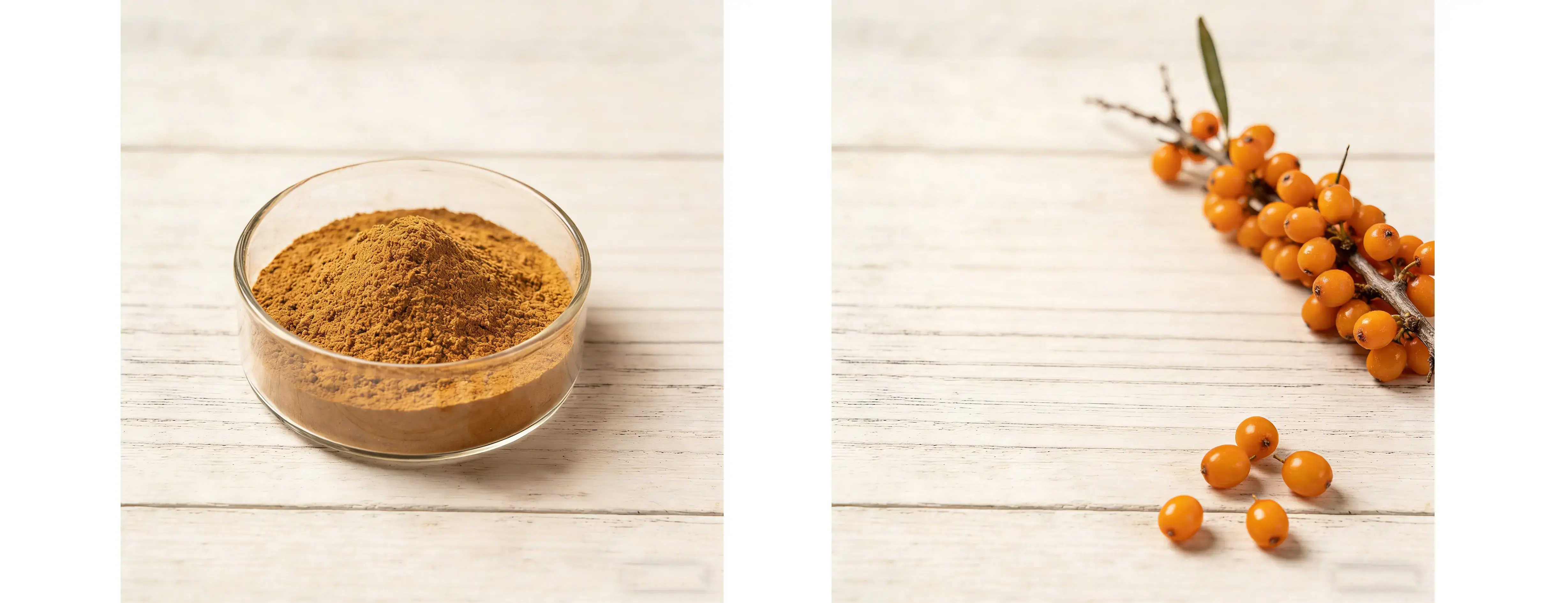Seabuckthorn Extract Seabuckthorn Extract