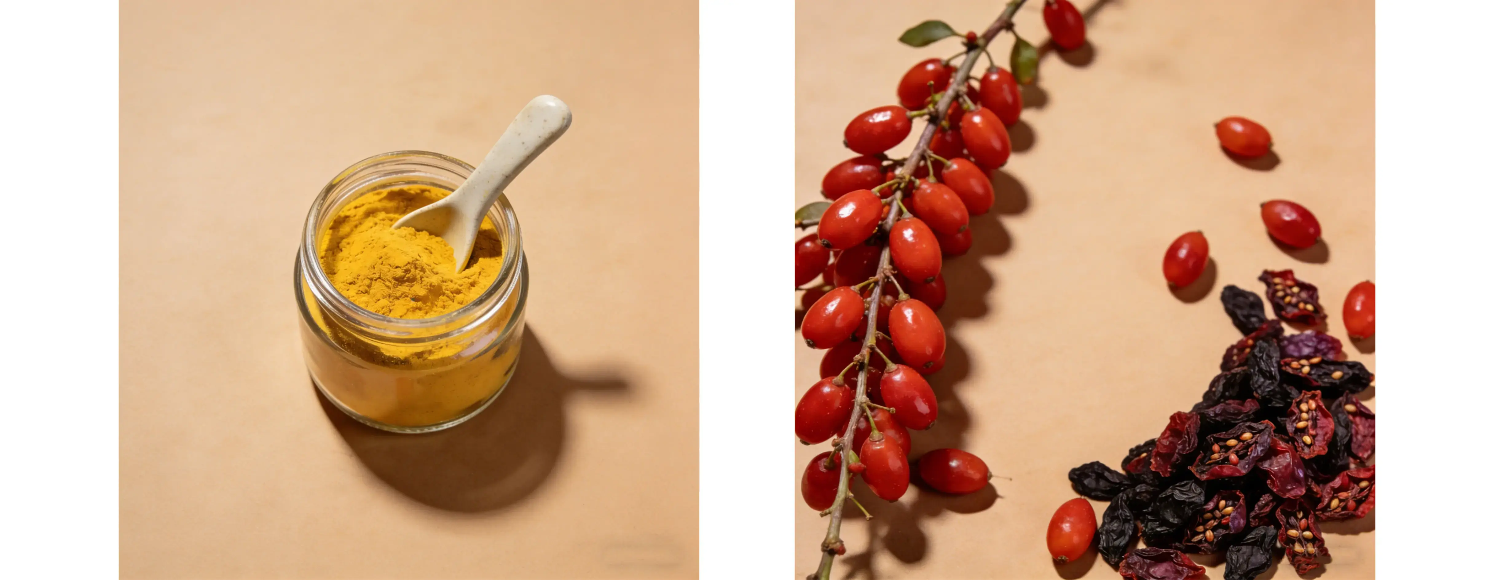 Berberis Vulgaris Extract Berberis Vulgaris Extract