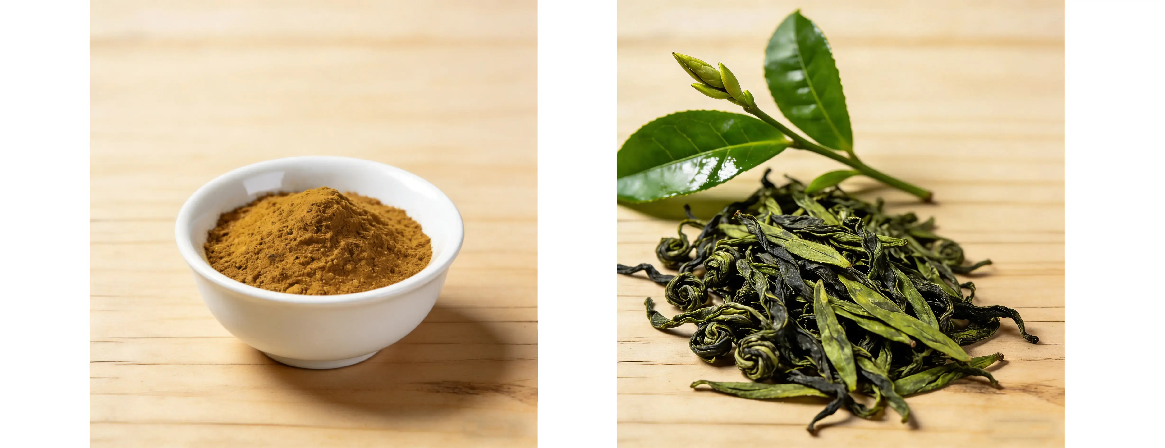 Green Tea Extract Green Tea Extract