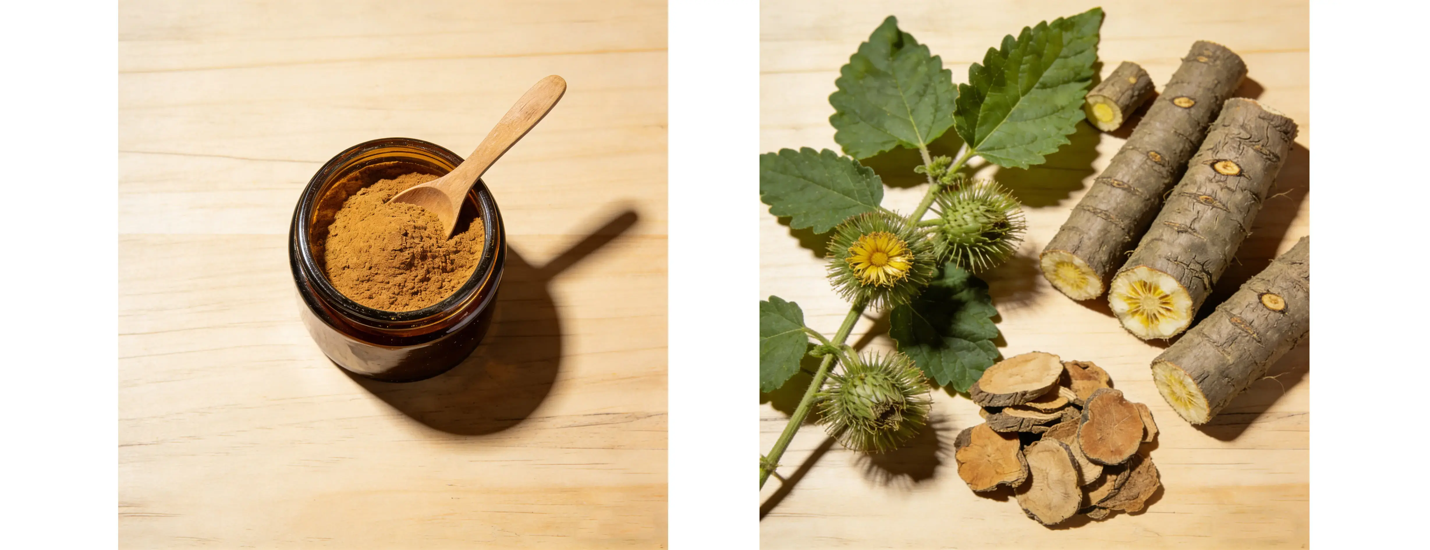 Burdock Root Extract Burdock Root Extract