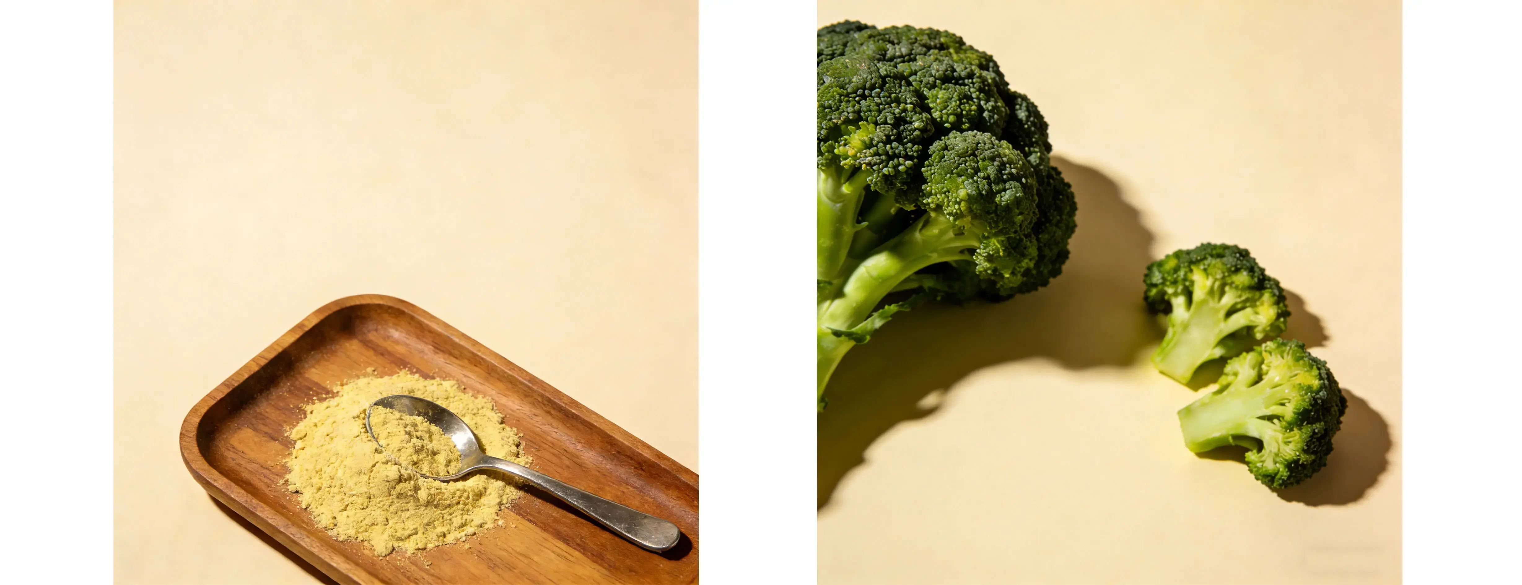 Broccoli Extract Broccoli Extract