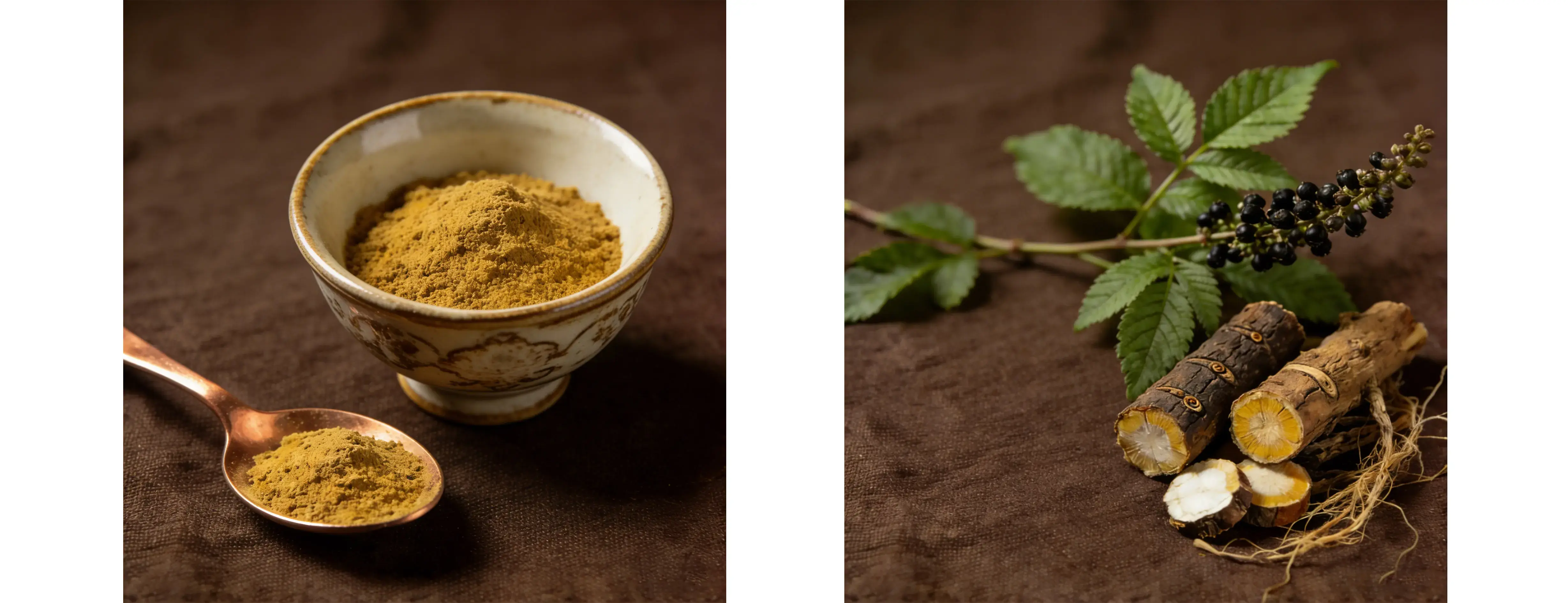 Black Cohosh Extract 