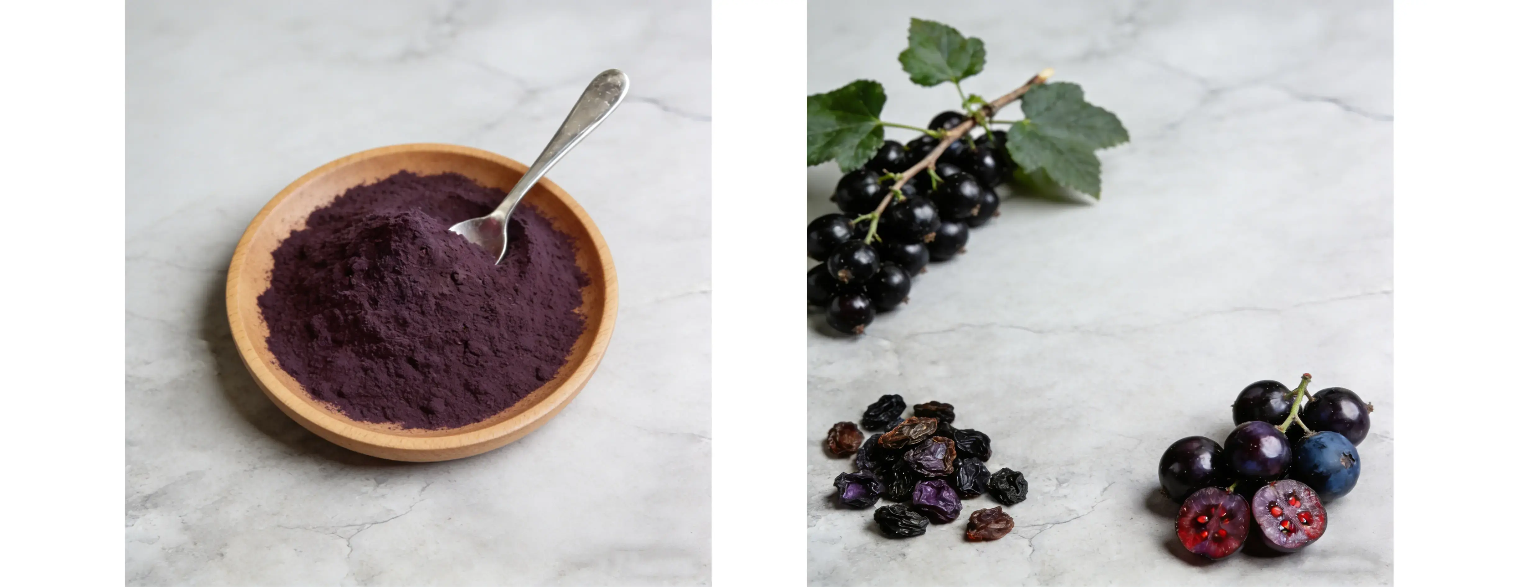 Black Currant Extract Black Currant Extract