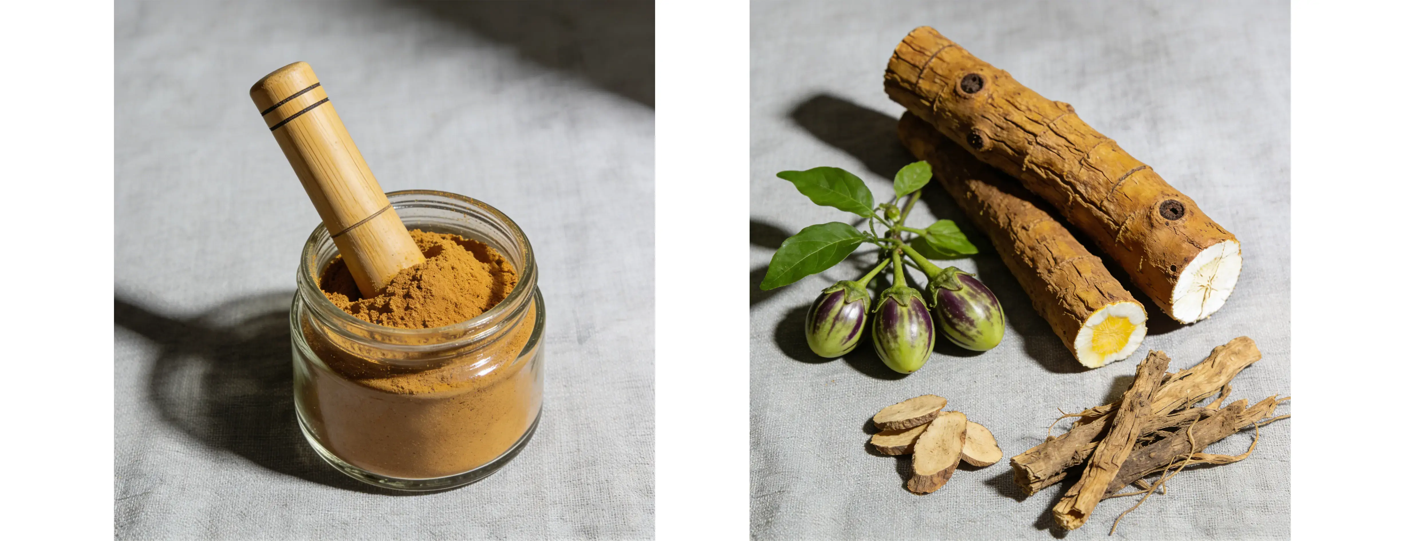 Ashwagandha Extract Ashwagandha Extract