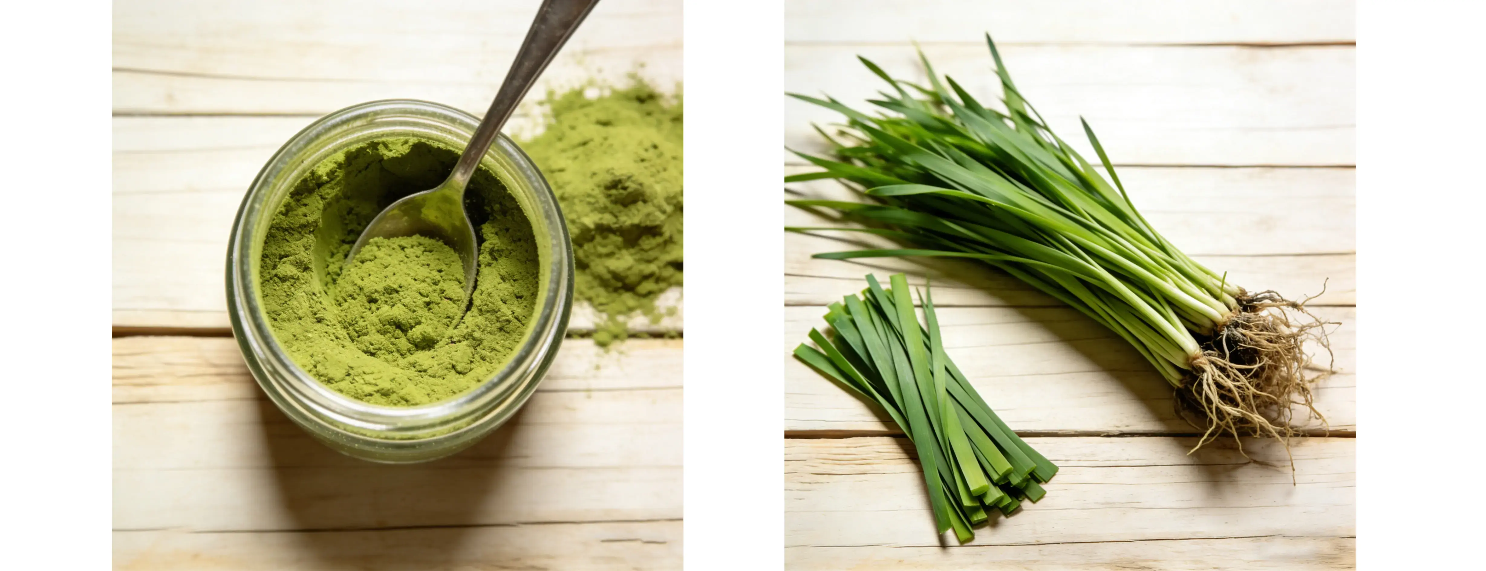 Barley Grass Extract