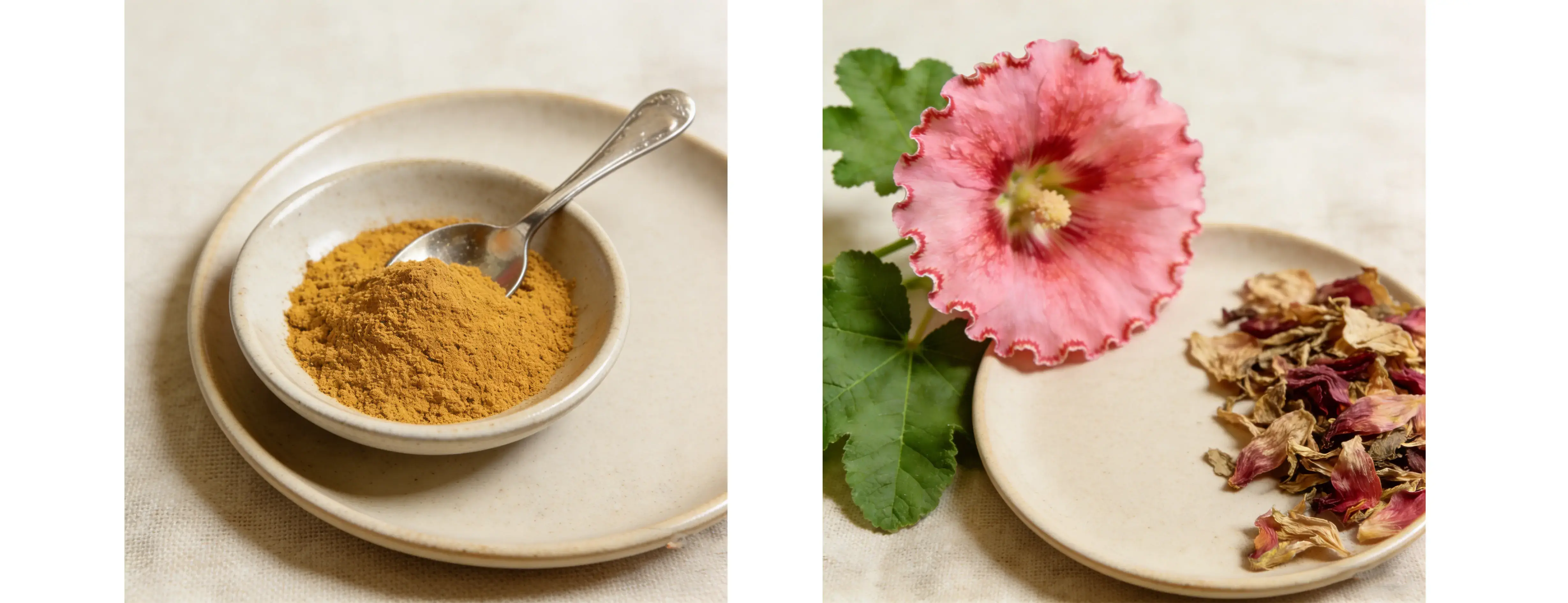 Althaea Rosea Extract 