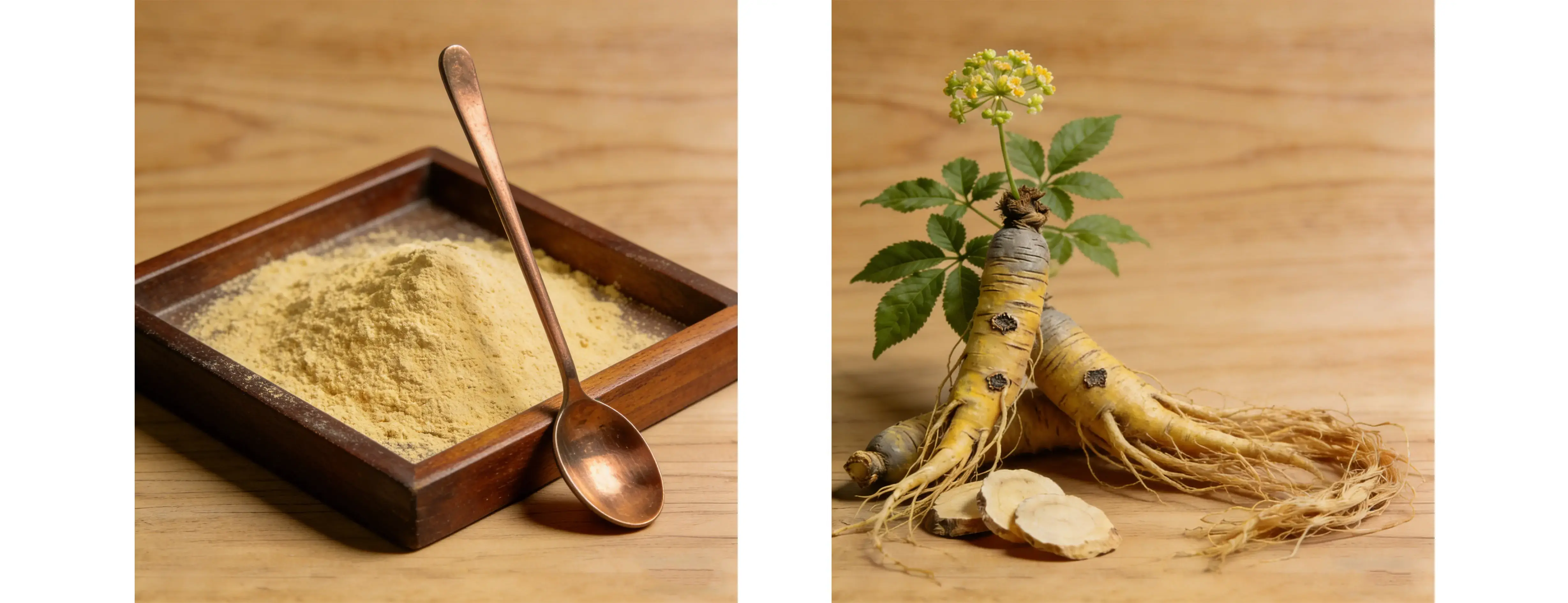 Ginseng Extract Ginseng Extract
