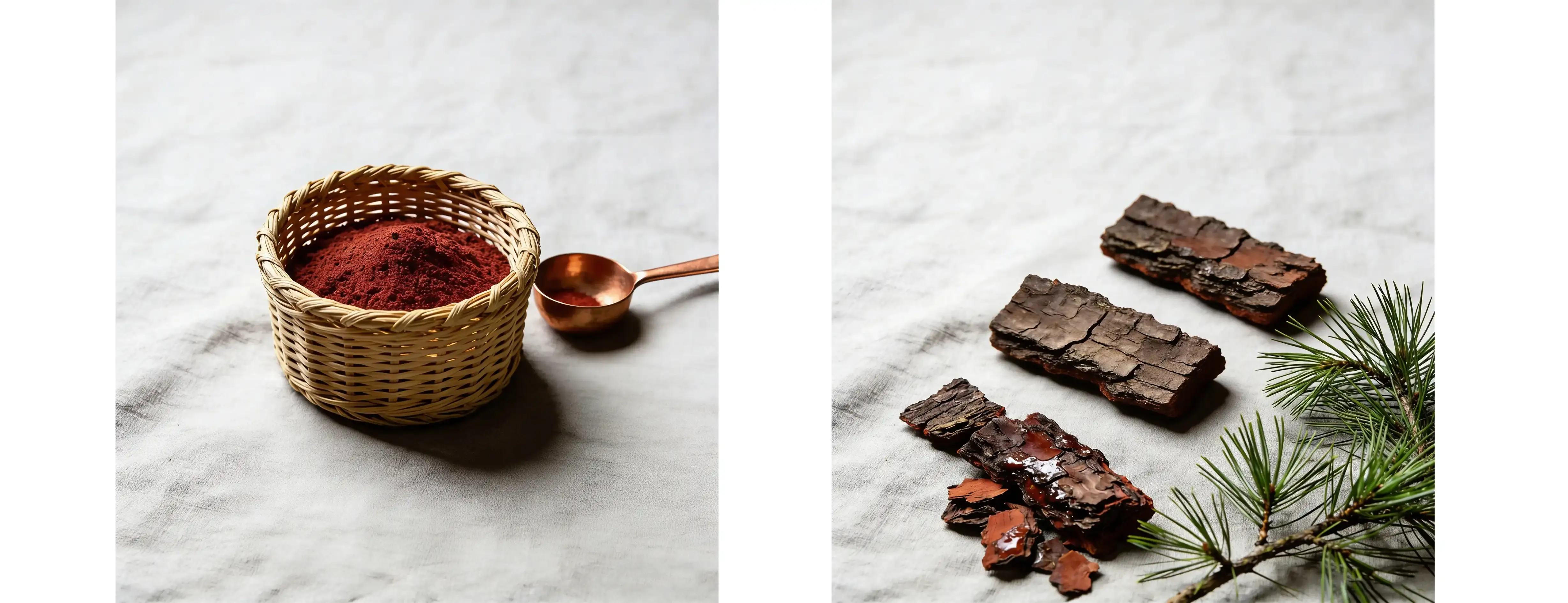 Pine Bark Extract Pine Bark Extract