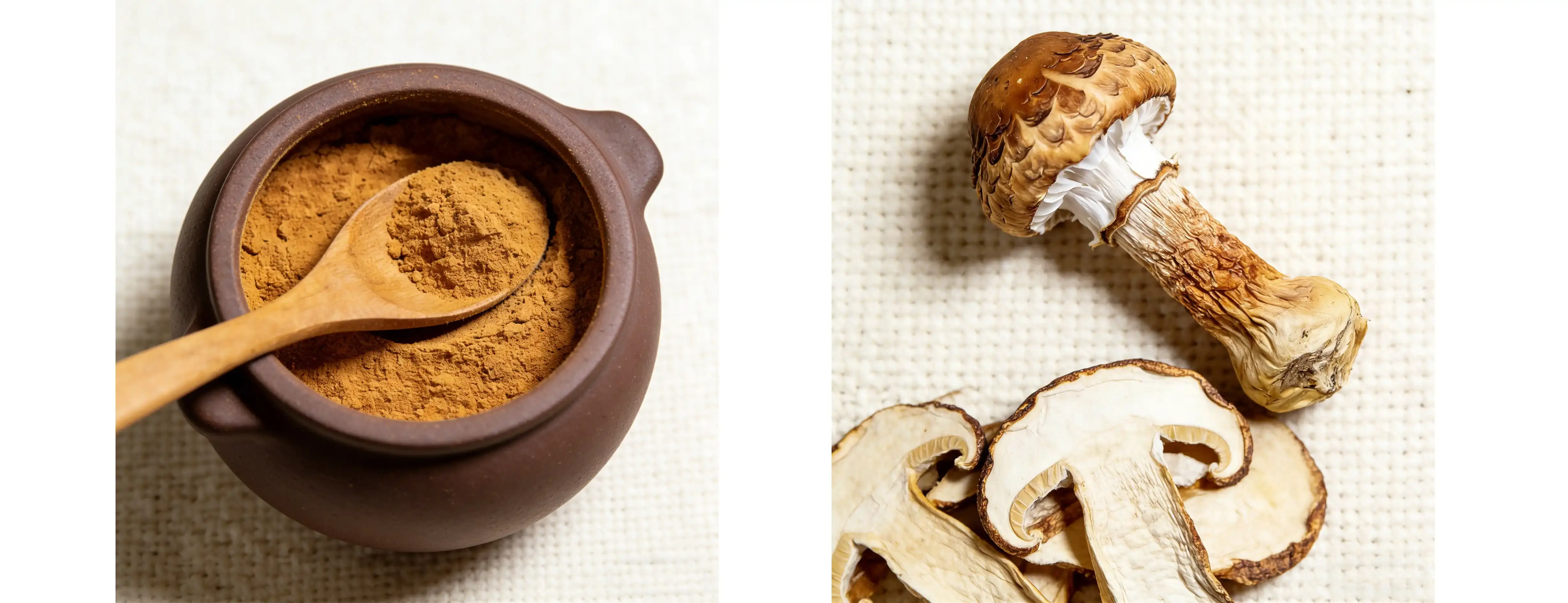 Agaricus Blazei Extract 