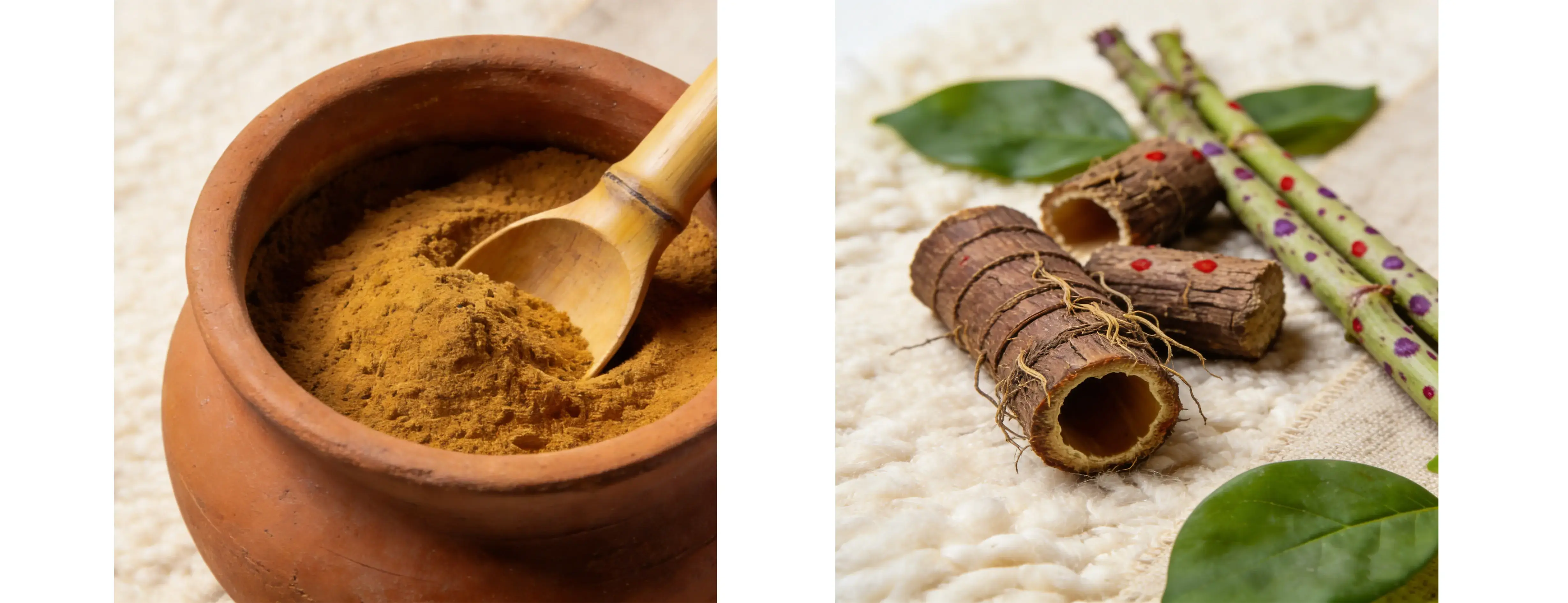 Polygonum Cuspidatum Extract