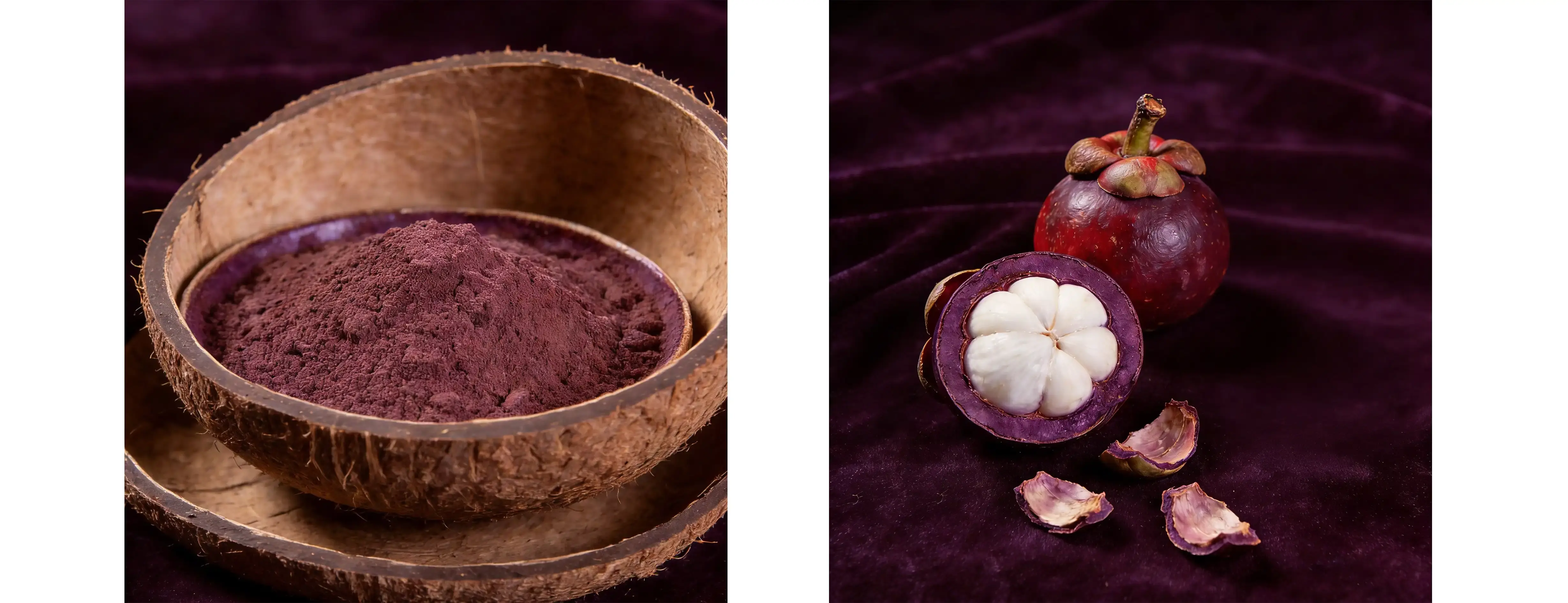 Mangosteen Extract Mangosteen Extract