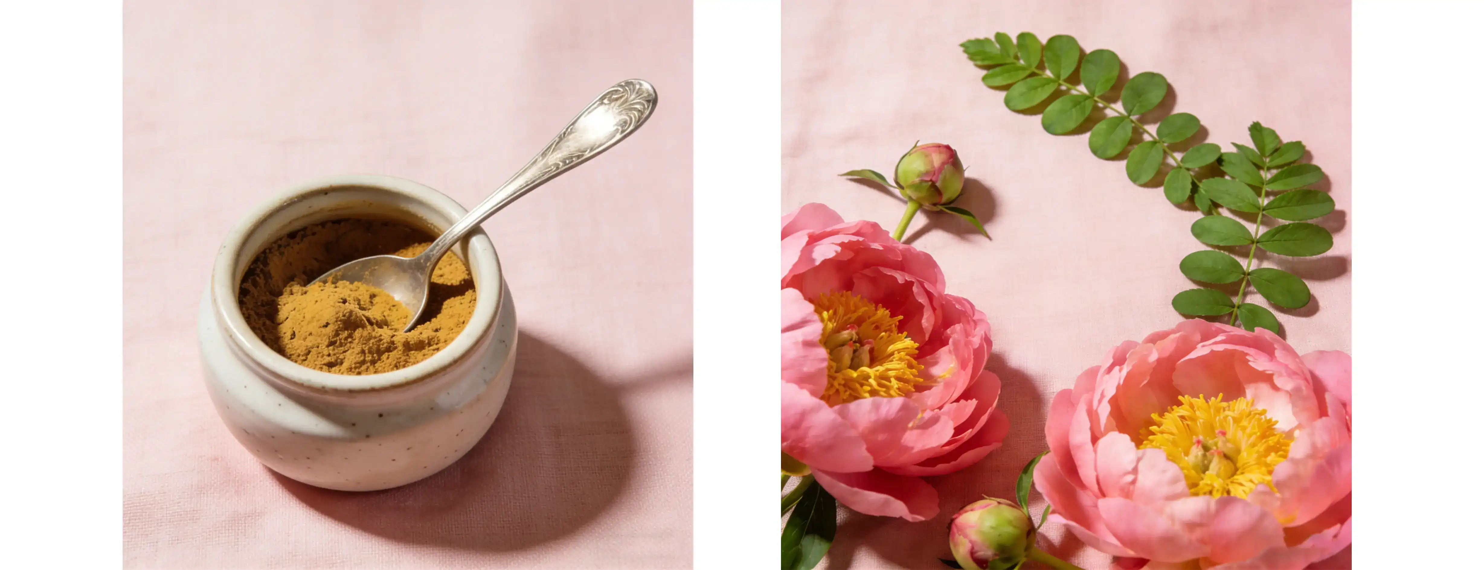 Peony Extract Peony Extract