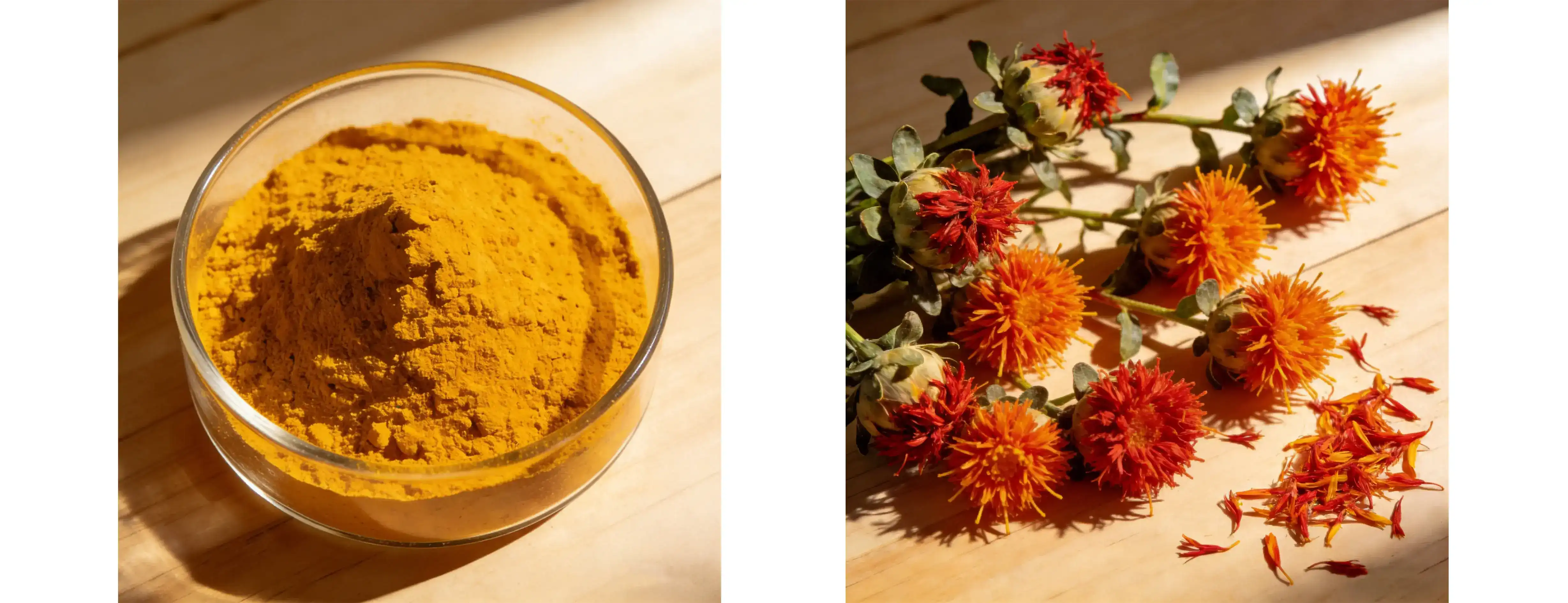 Safflower Extract Powder