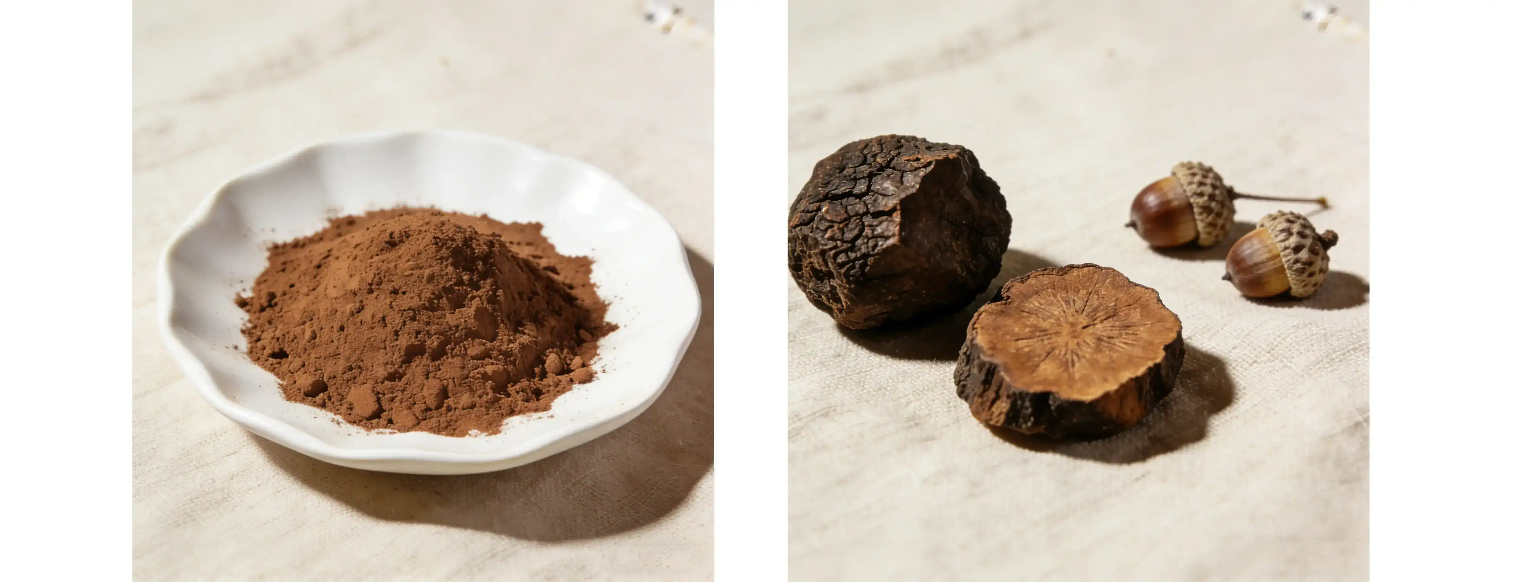 pure Chaga mushroom Powder pure Chaga mushroom Powder