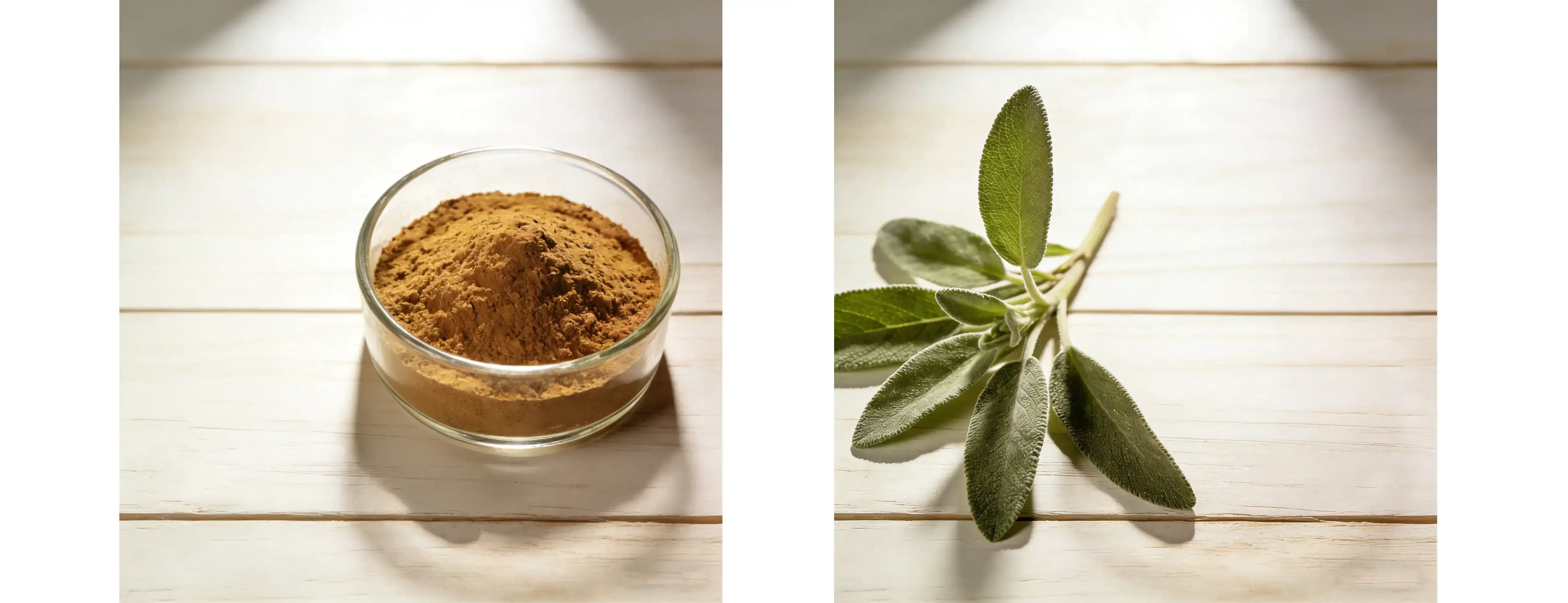 Sage Extract
