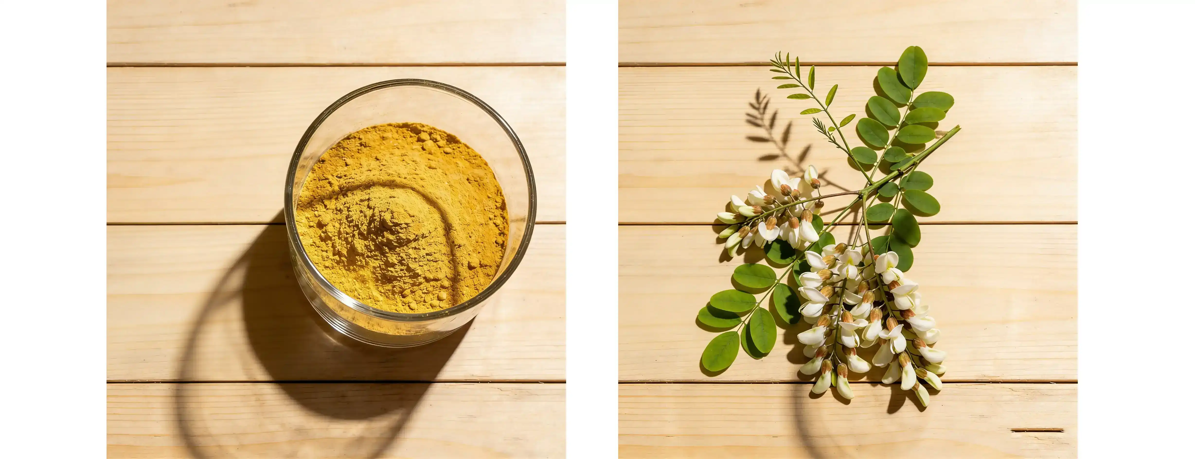 Sophora Japonica Extract