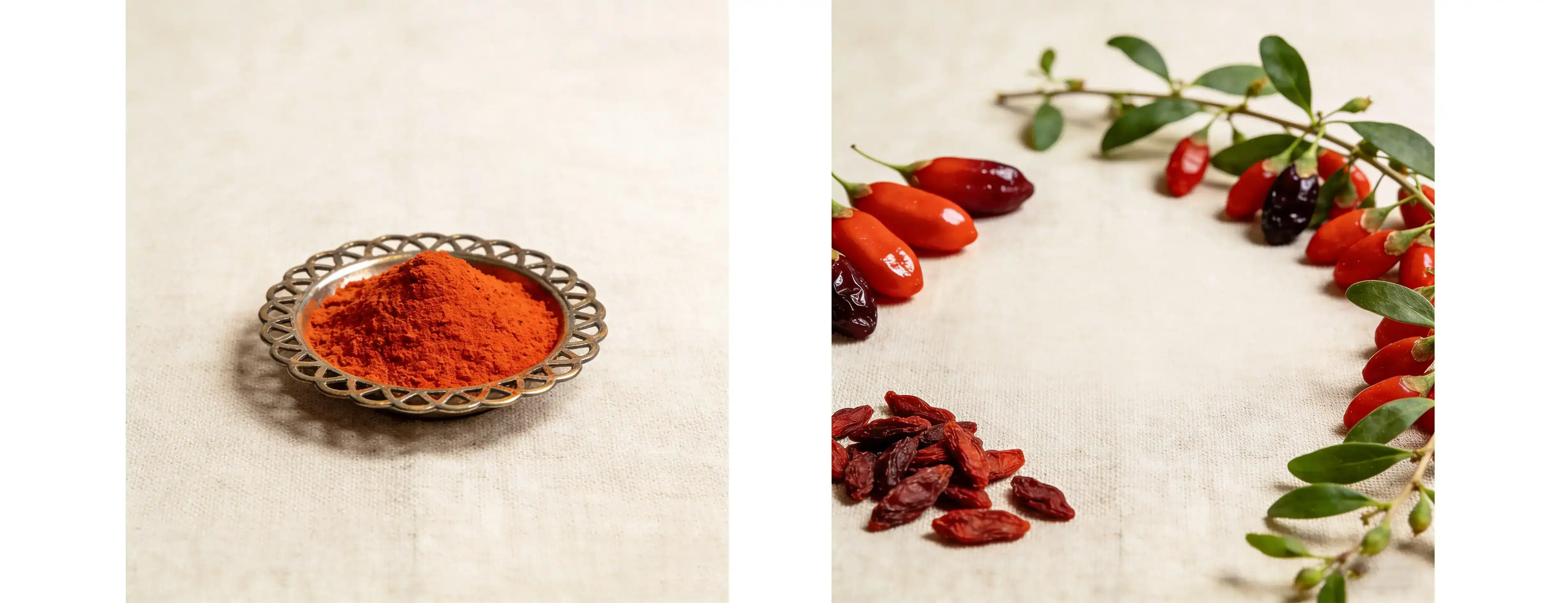 Goji Extract Powder