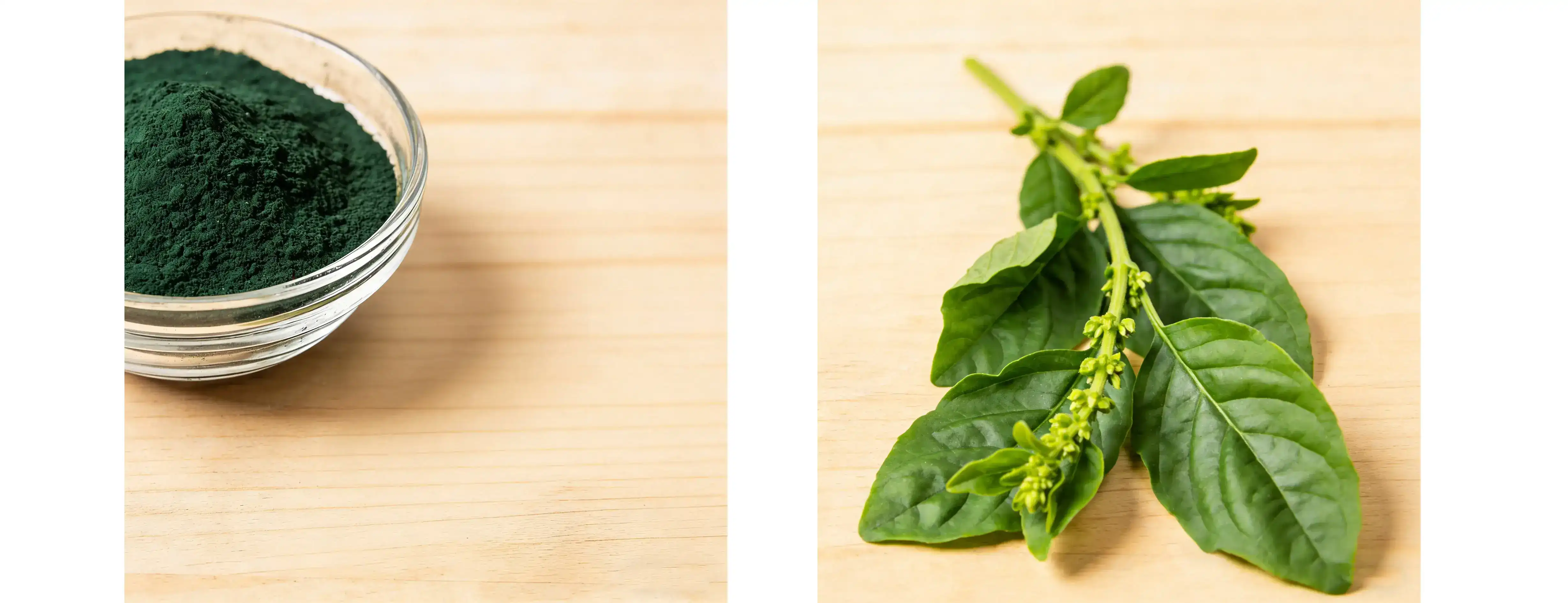 Sodium Copper Chlorophyllin Powder
