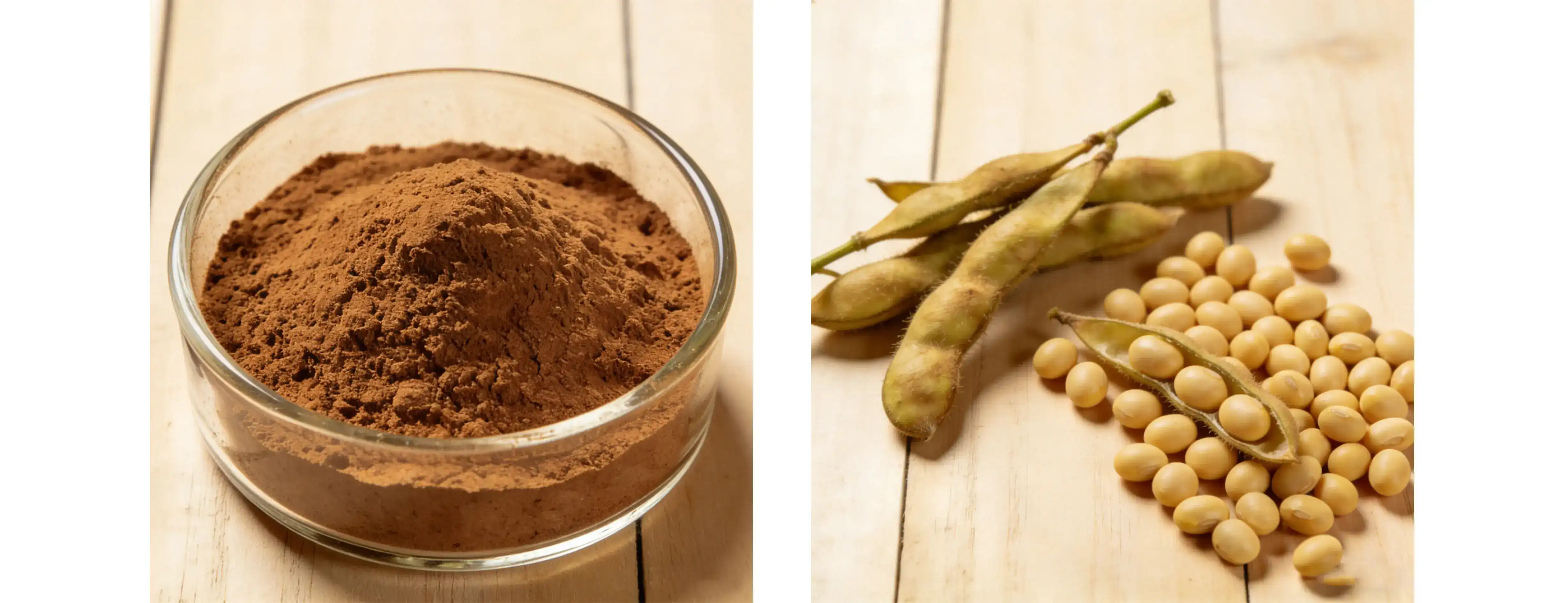 Soybean Extract 