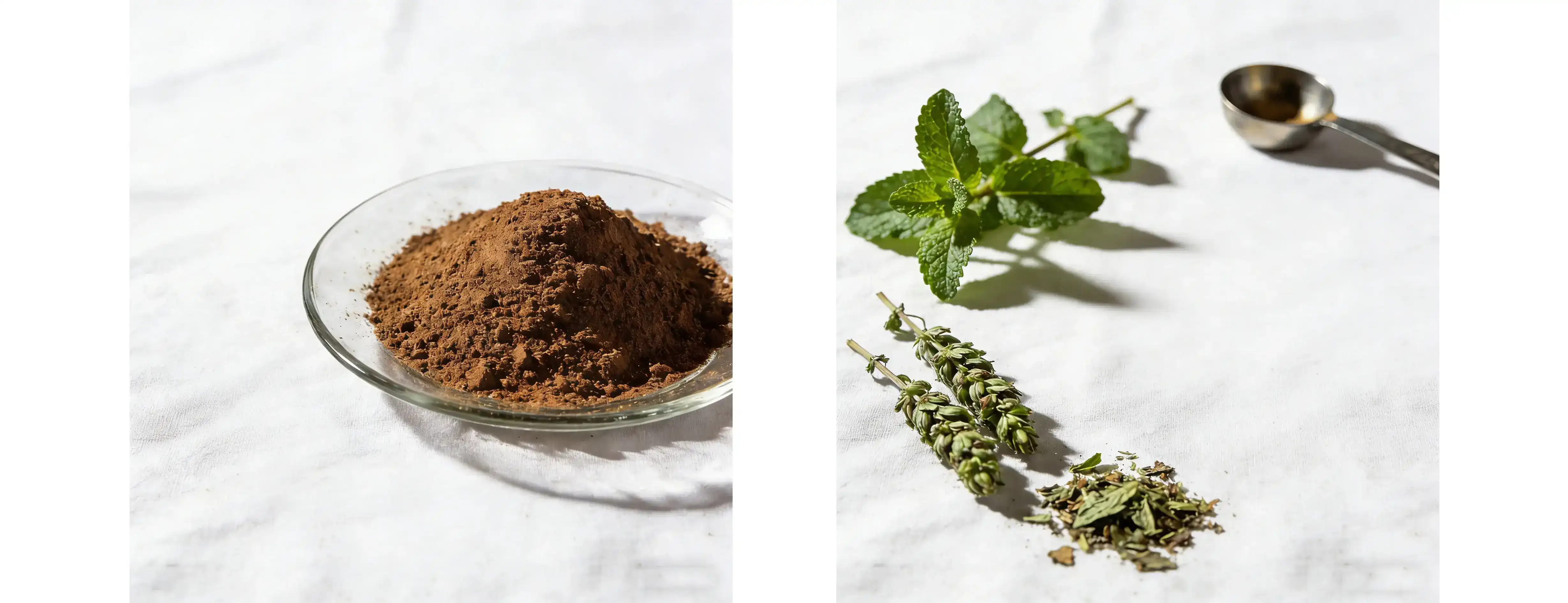 Natural Peppermint Leaf Extract Natural Peppermint Leaf Extract