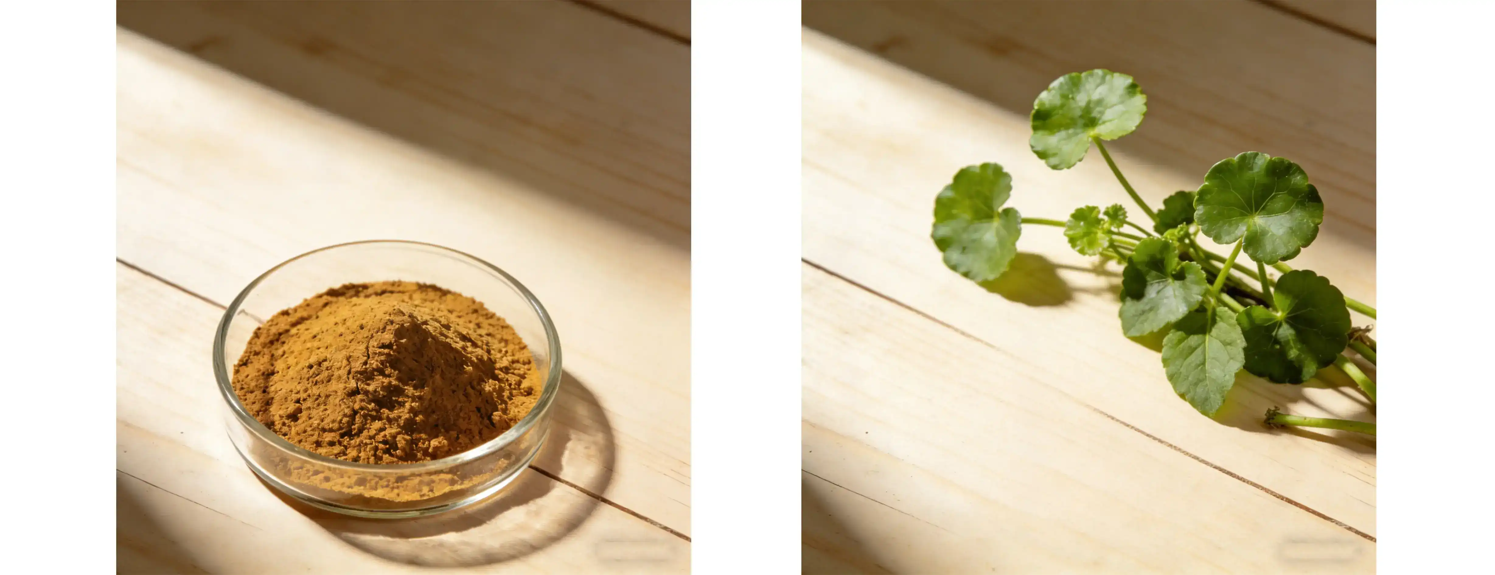 Natural Centella asiatica extract